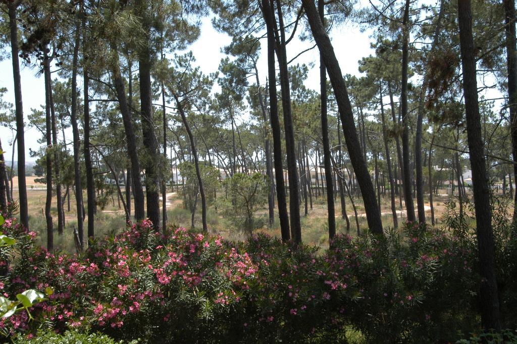 Pine Sun Park - Durcosa Apartamento