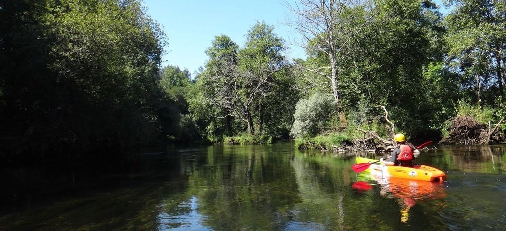 Quinta Lamosa Farm stay *