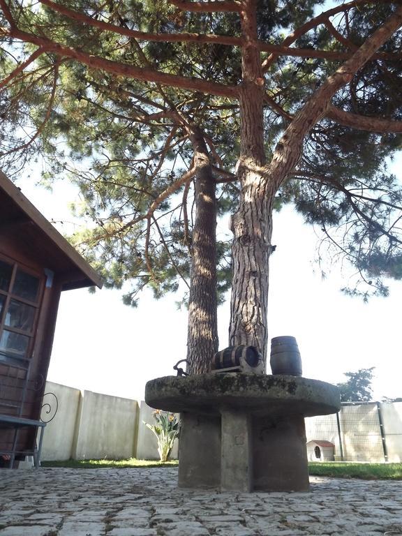 Bed & Breakfast Pegada Real Obidos