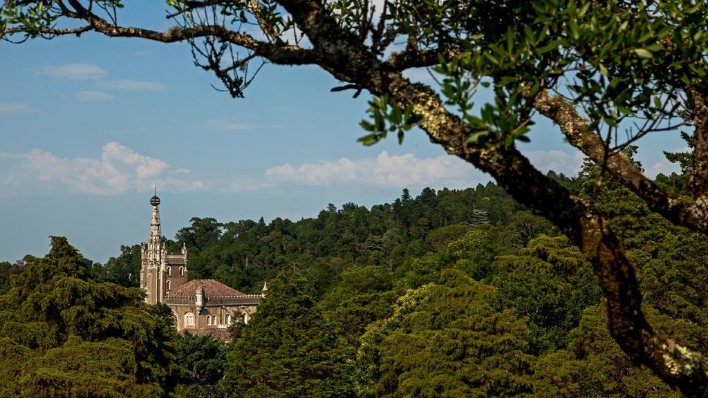 Hotel Palace Do Bussaco