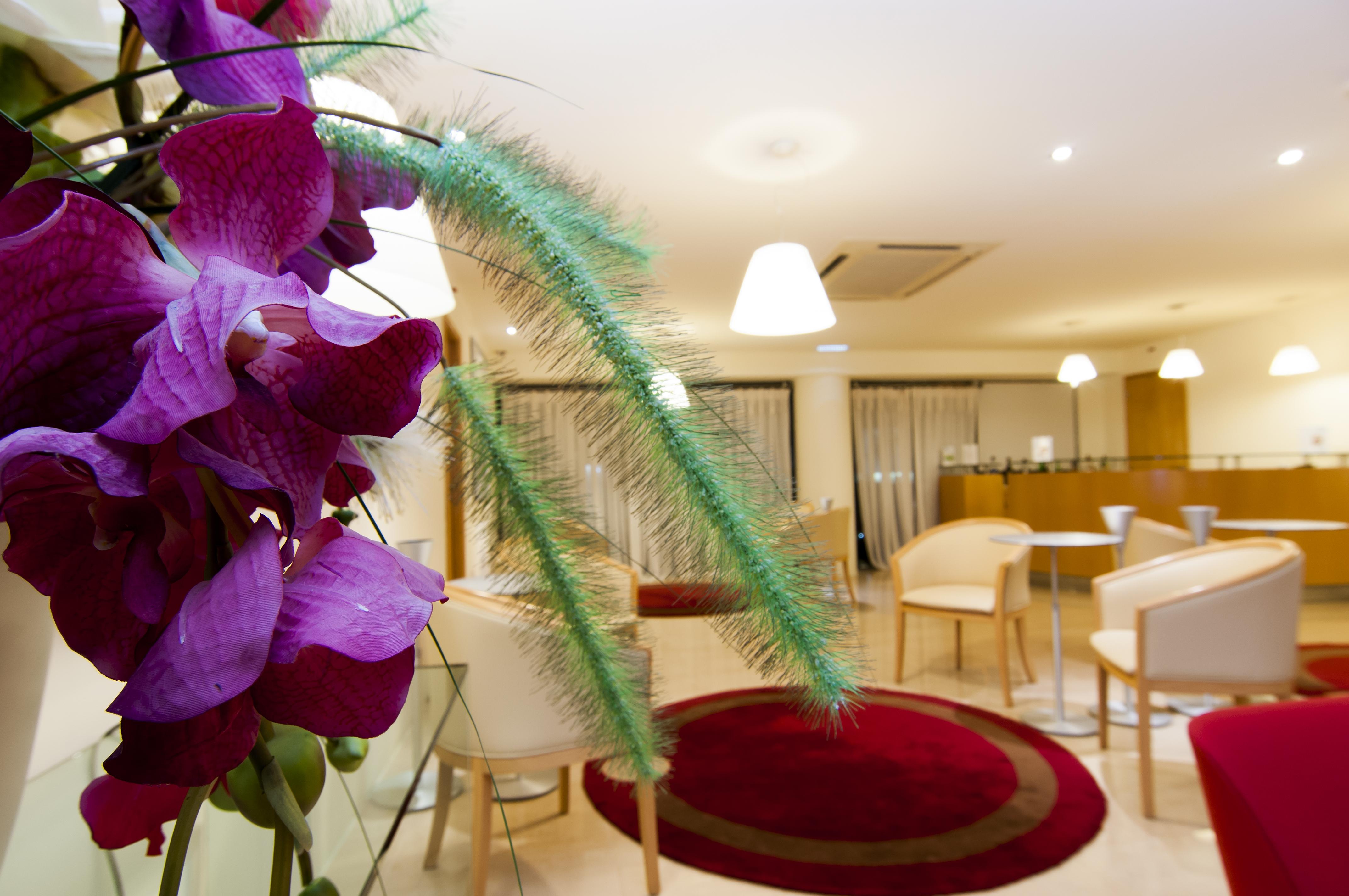 Mare Hotel