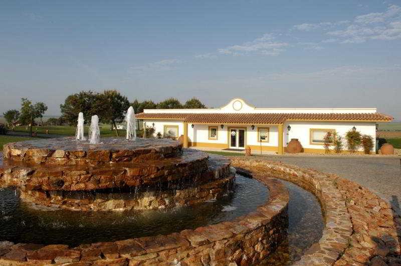 Gale Alentejo Vineyard - Clube De Campo