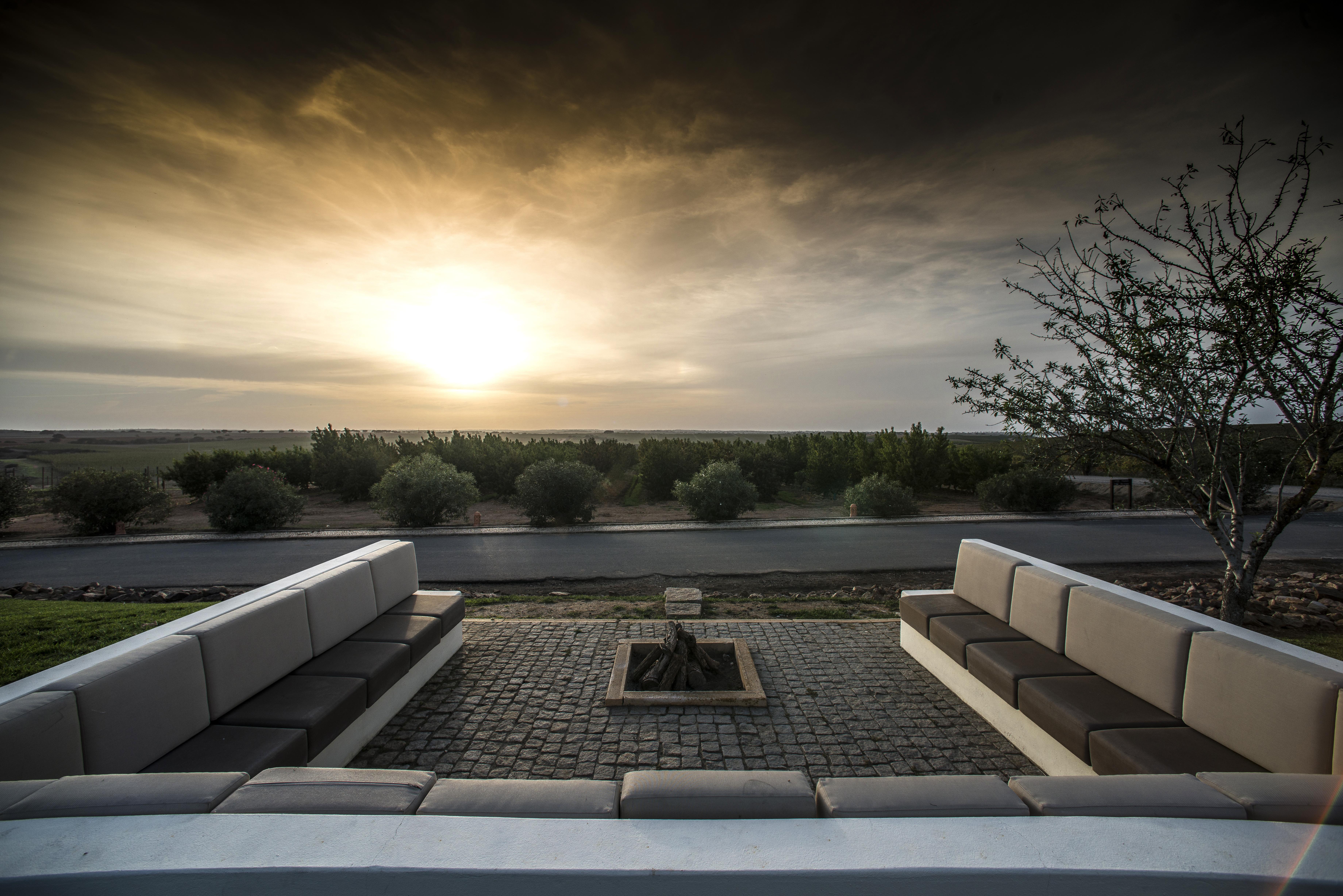 Gale Alentejo Vineyard - Clube De Campo Albernoa