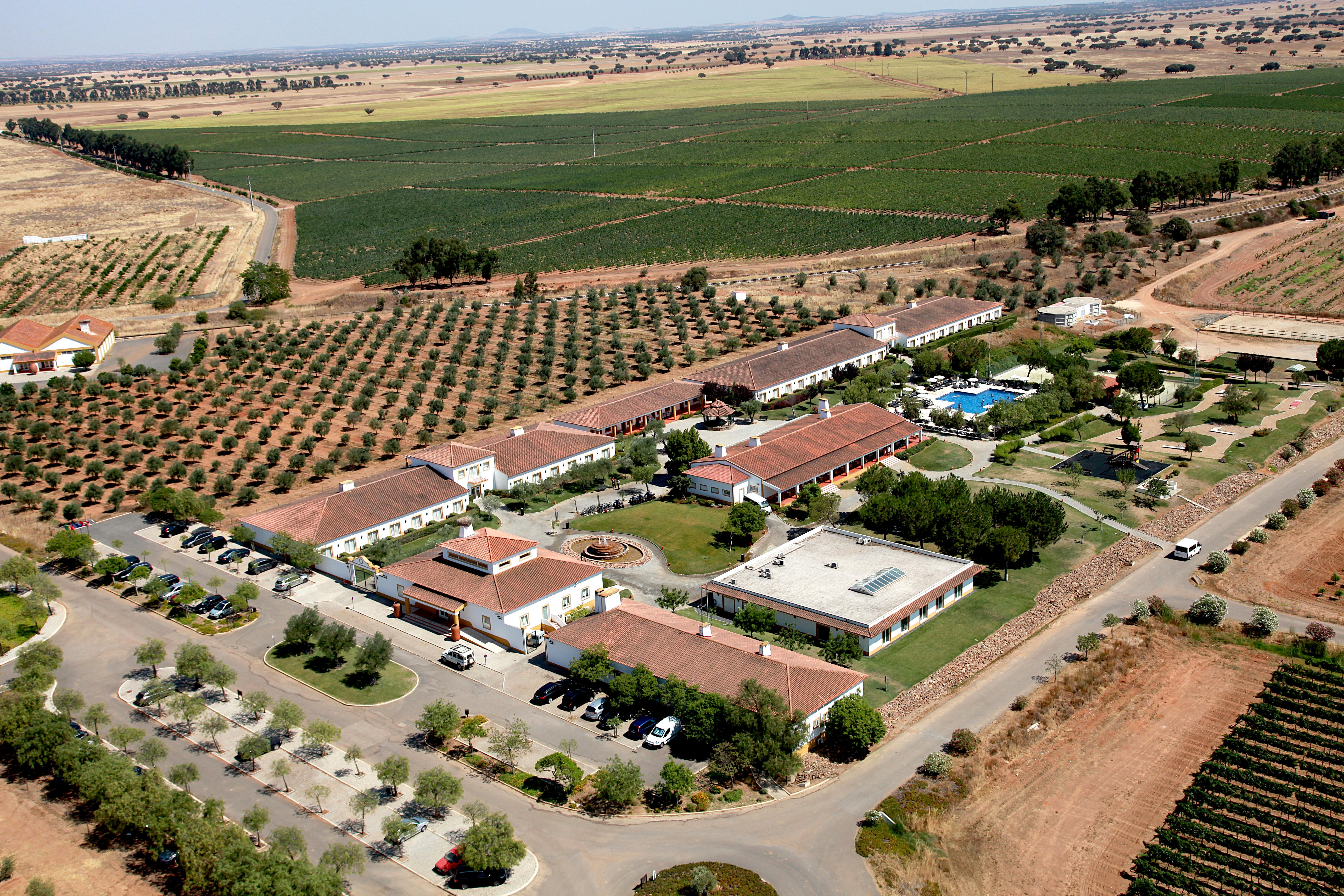 Hotel Gale Alentejo Vineyard - Clube De Campo