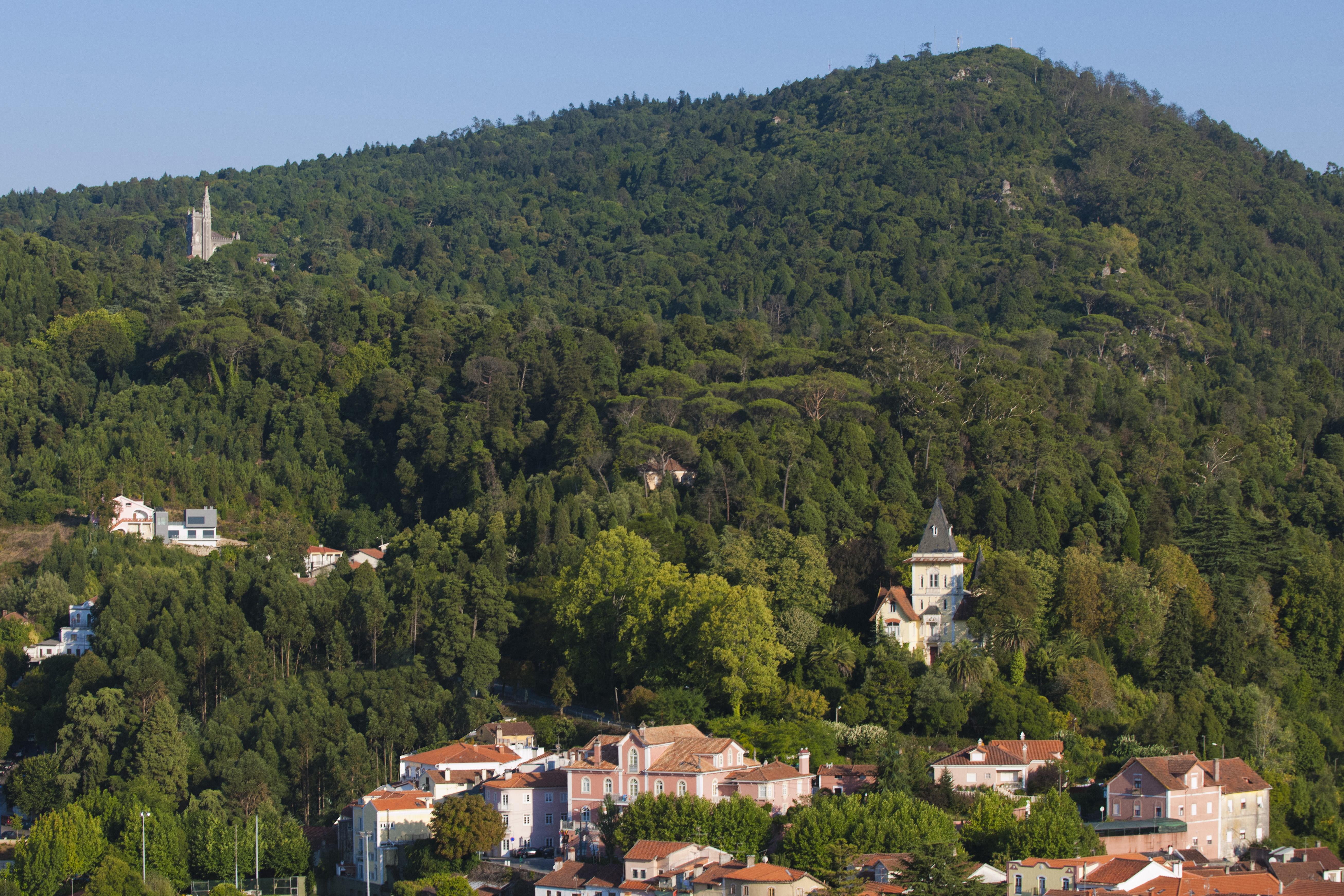 Alegre - Bussaco Boutique Hotel 3*