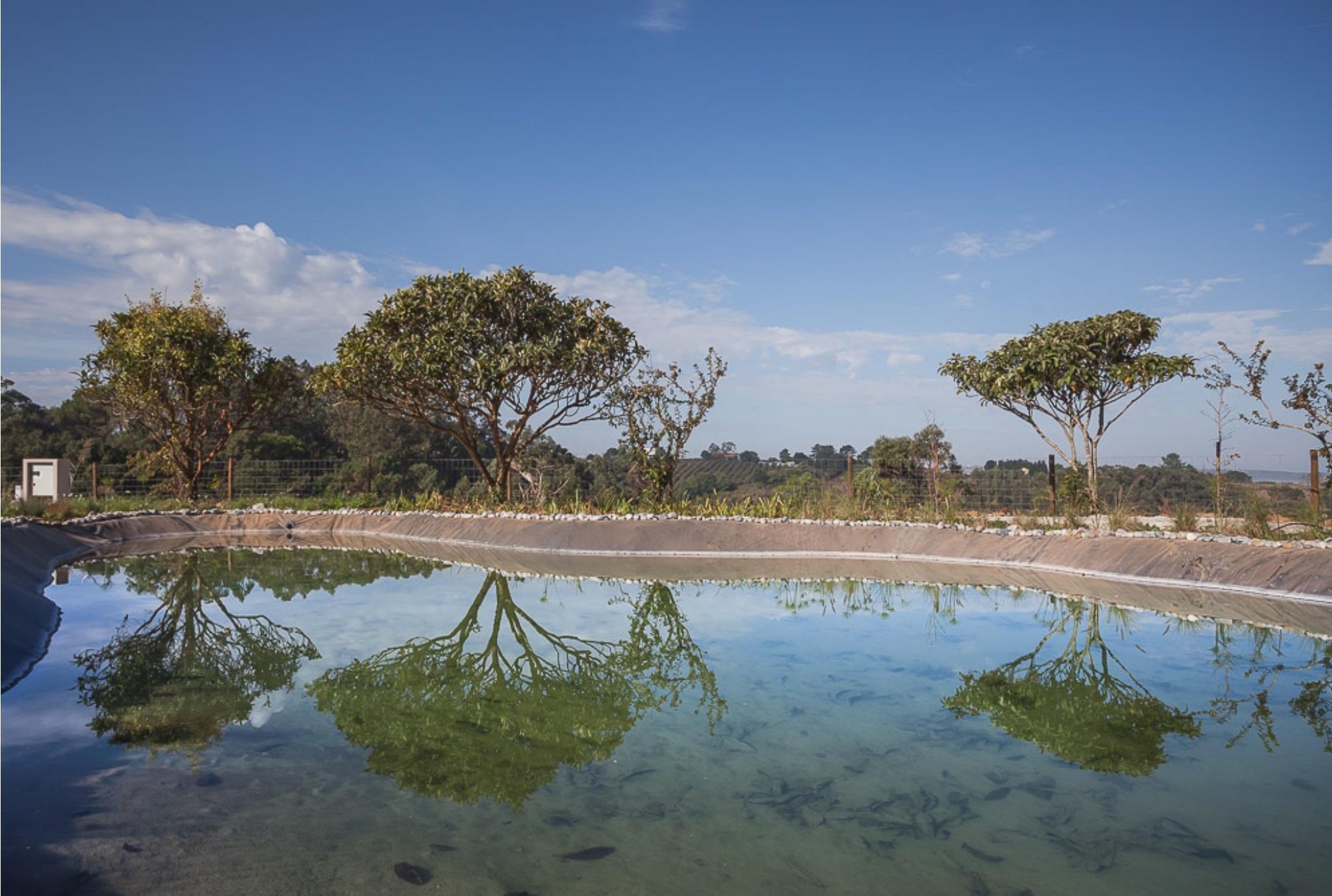 Hotel Vale D'azenha Rural & Residences 4*