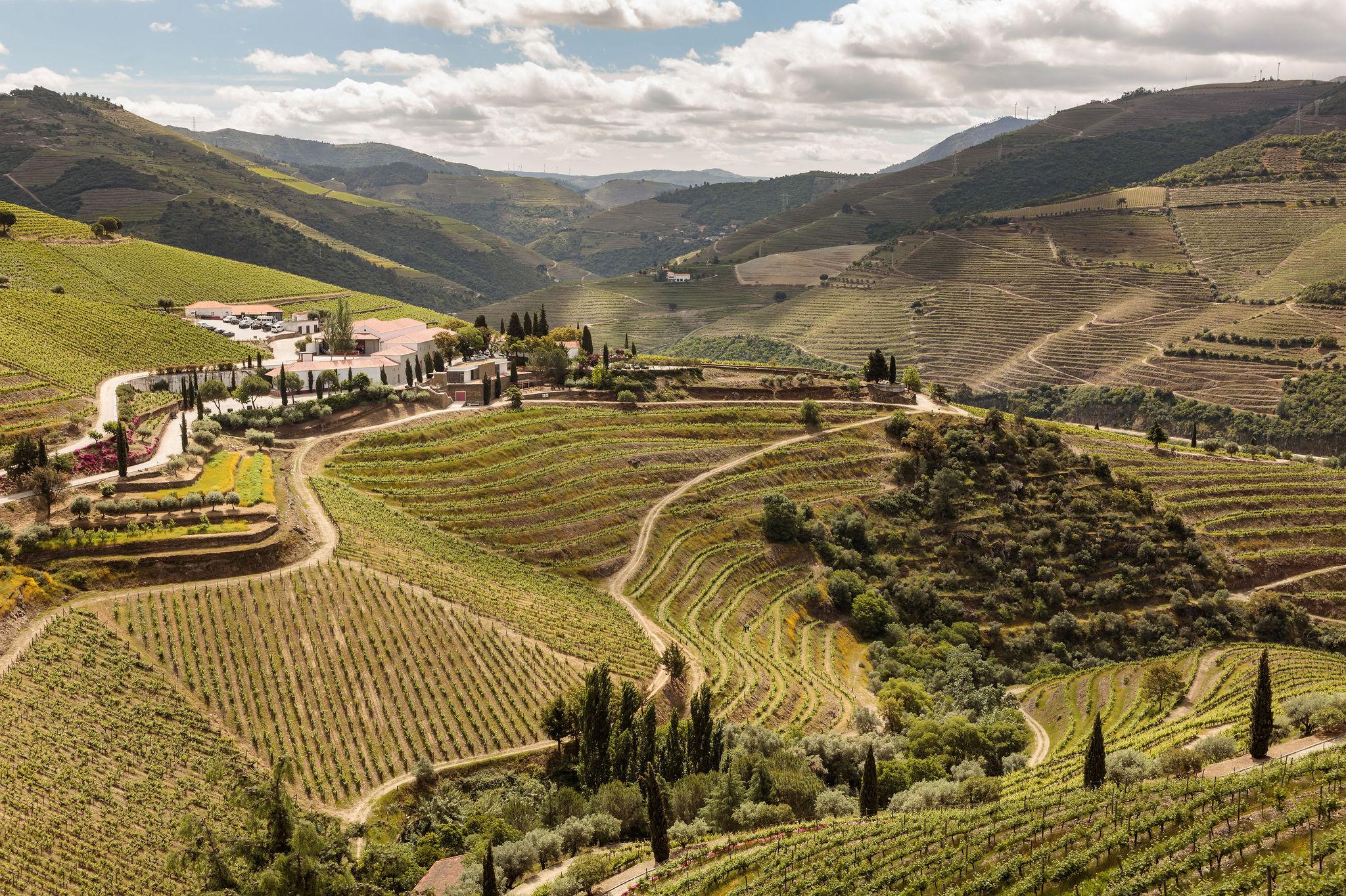 Quinta Nova Winery House - Relais & Chateaux Hotel Pinhao