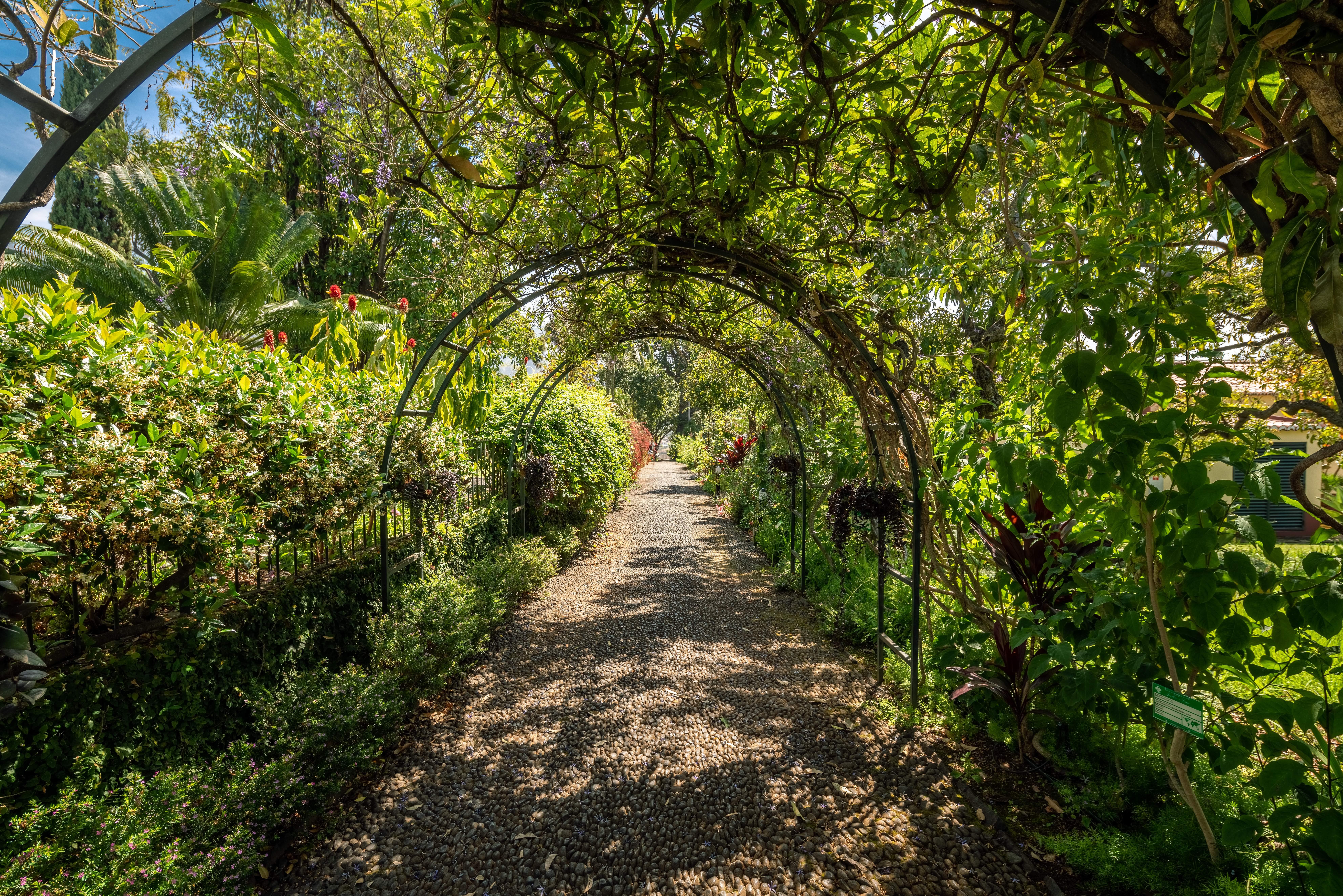 Quinta Jardins Do Funchal (Madeira)