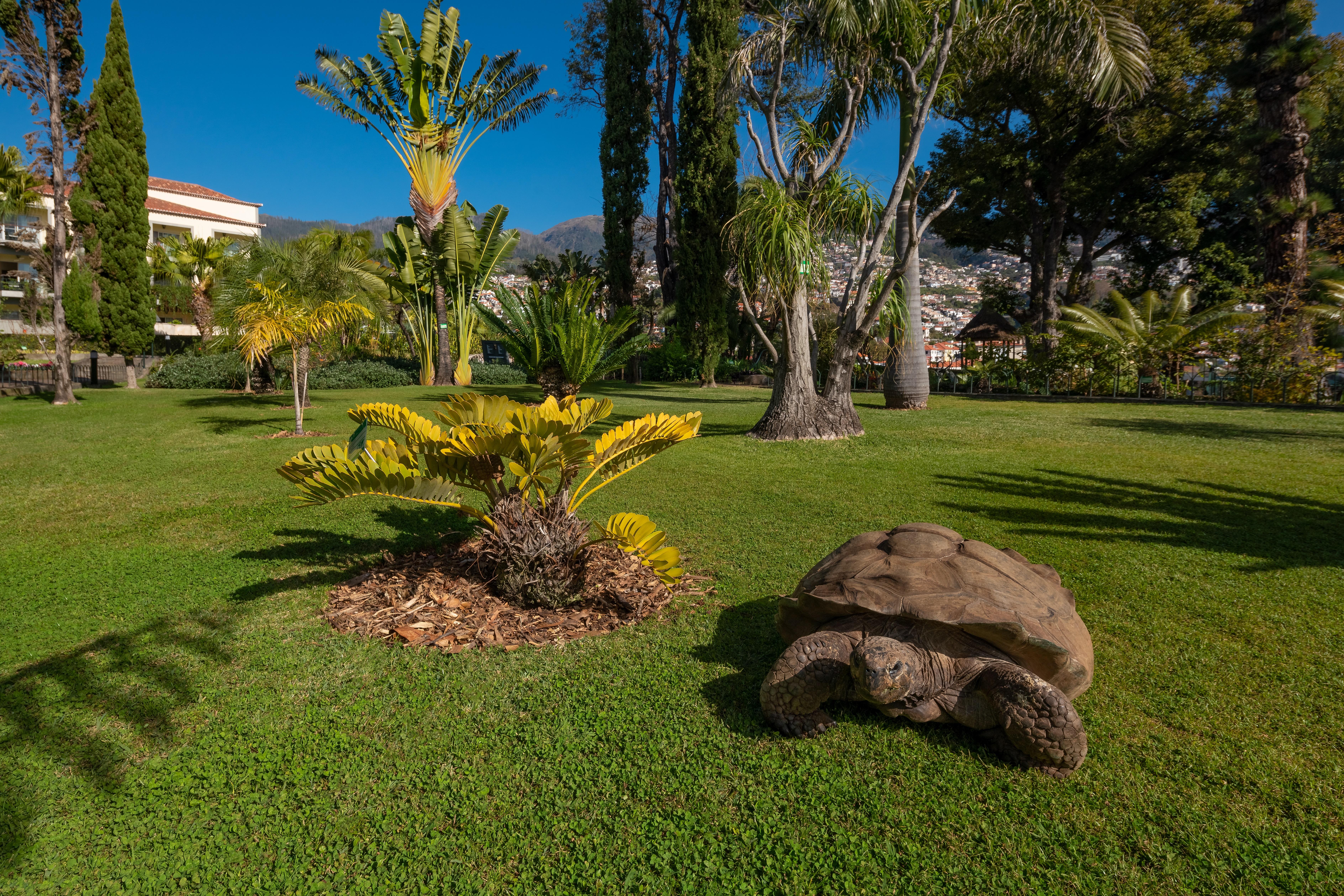 Hotel Quinta Jardins Do Funchal (Madeira)