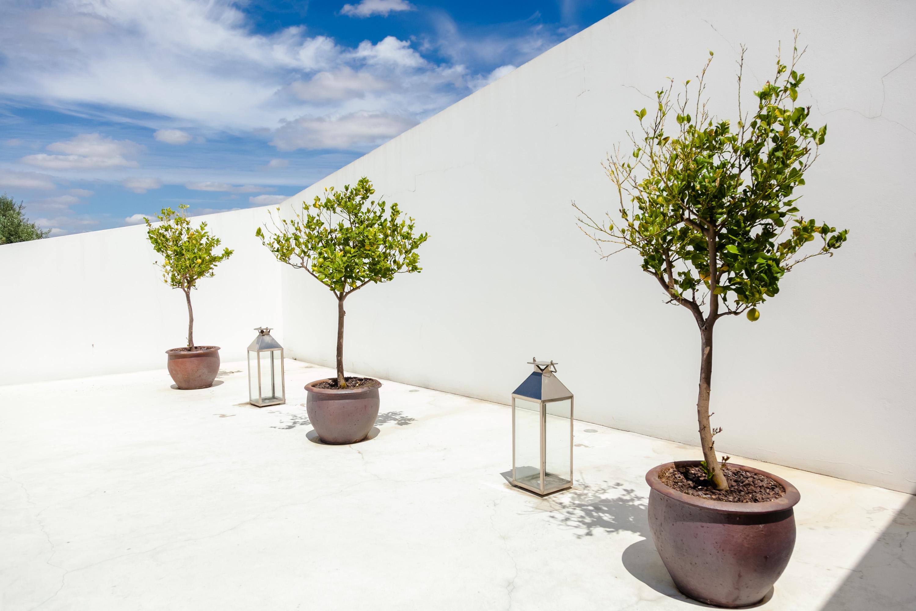 L'and Vineyards - Relais & Chateaux 5*