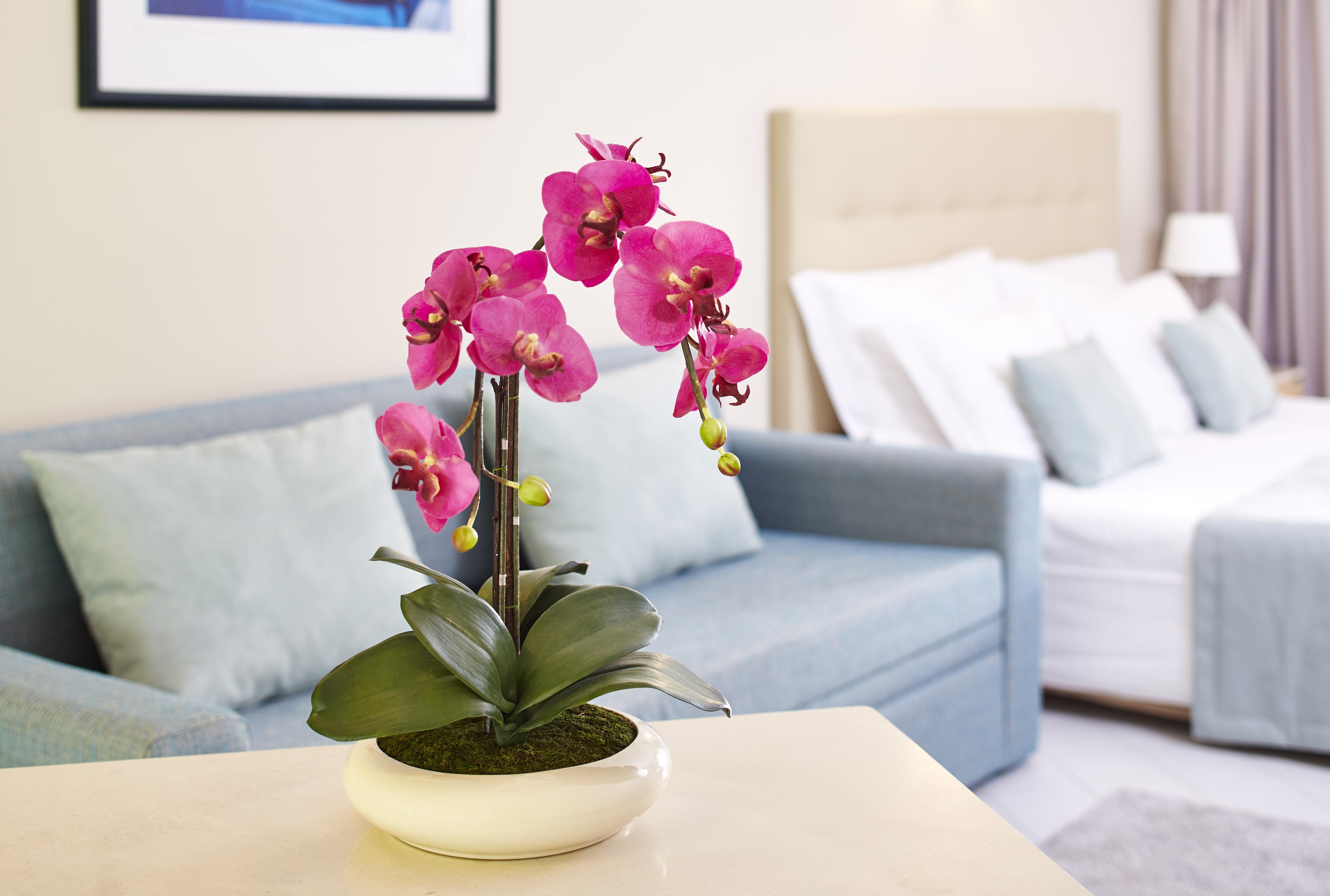 Aparthotel Luna Clube Oceano 3*