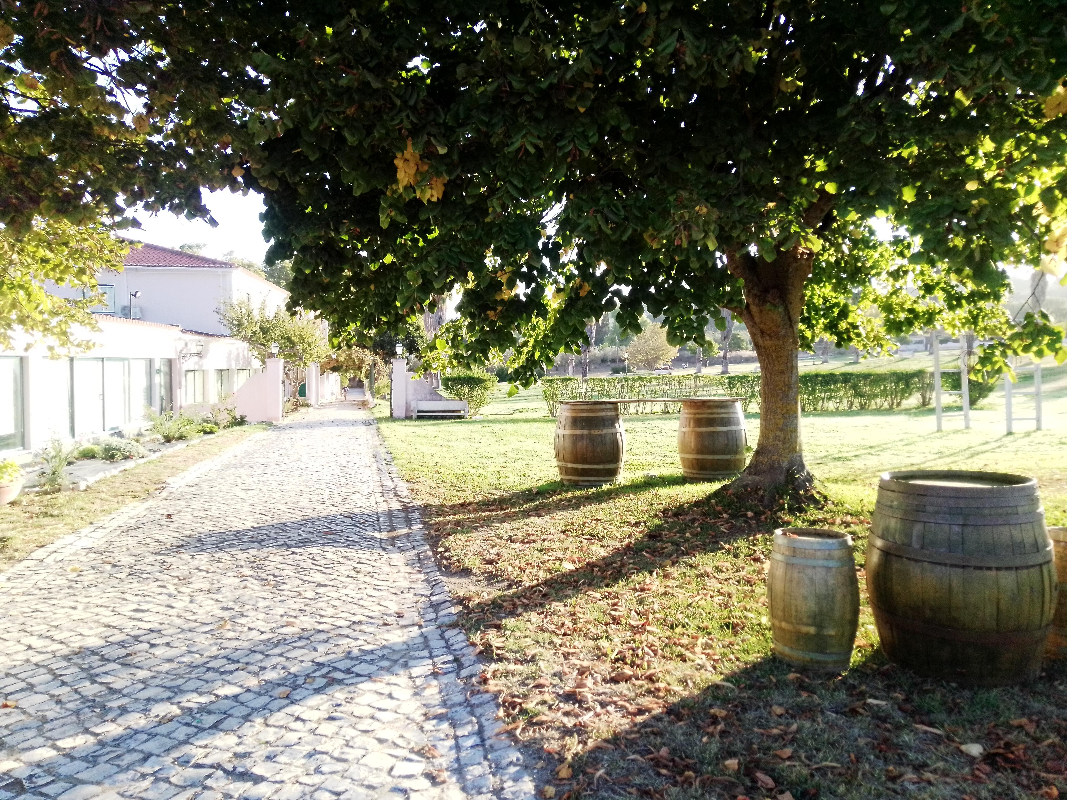 Turim Club Azeitao Hotel Setubal
