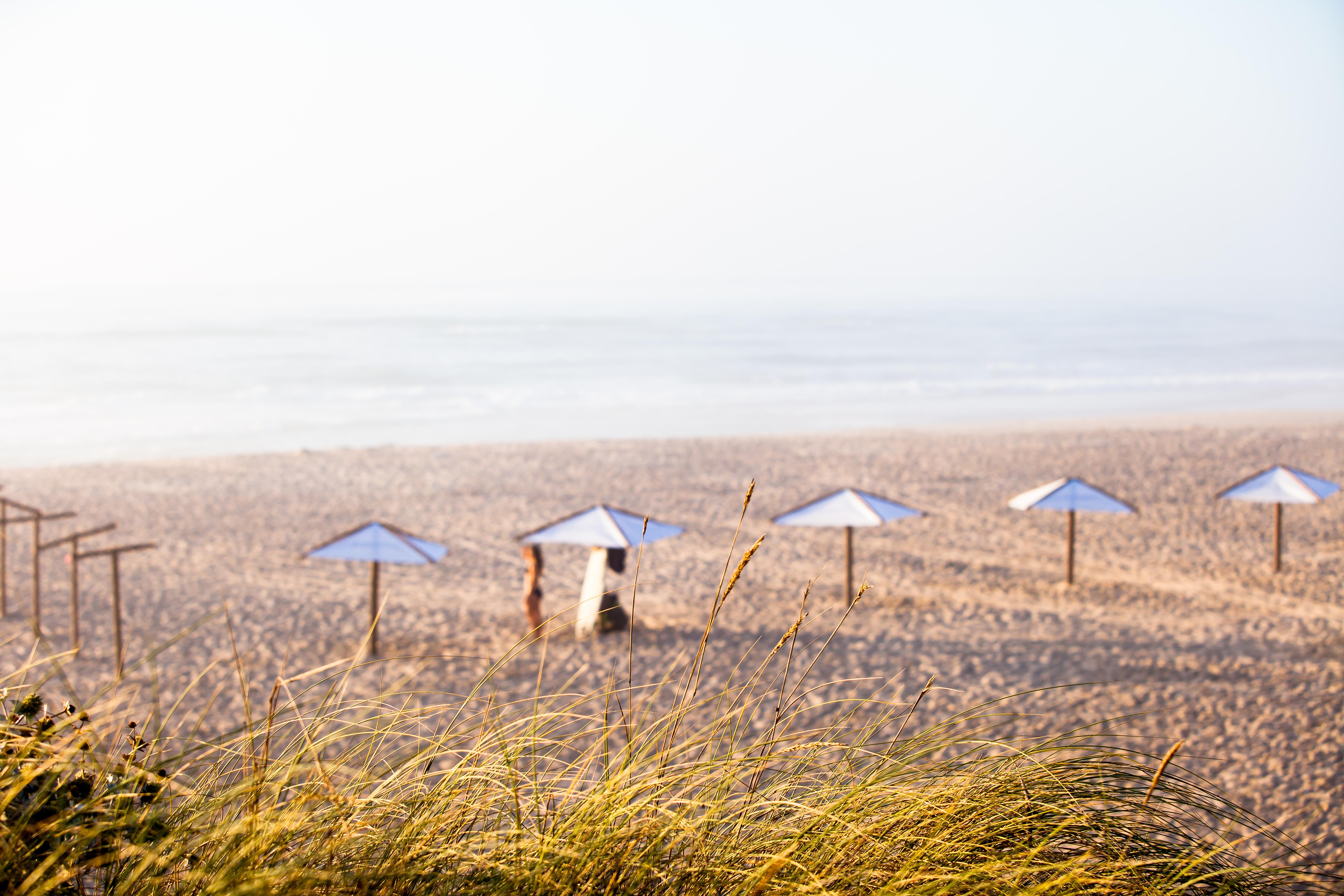 The Beachfront - D'el Rey Golf &