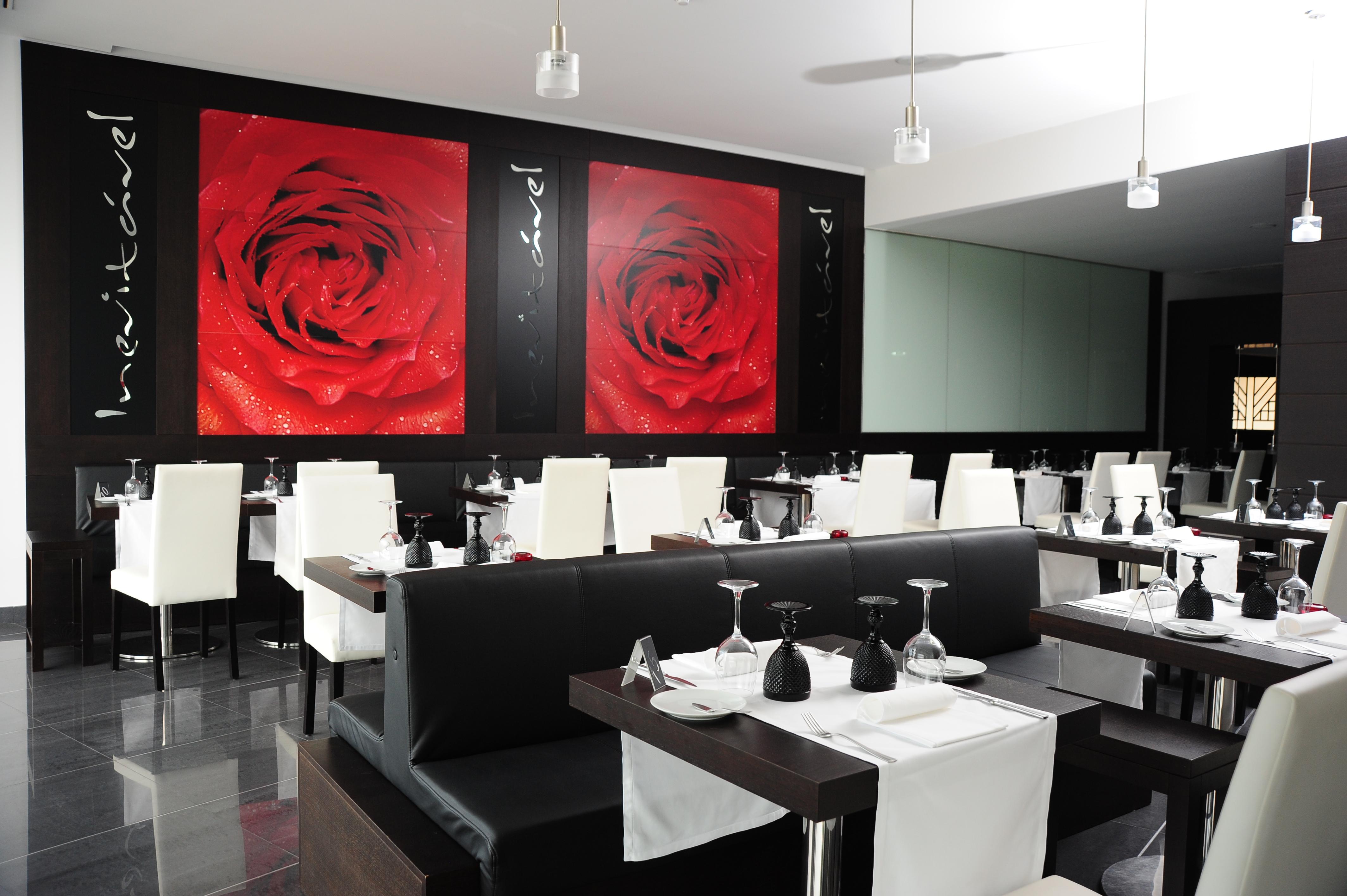 Gale (adults Only) 4* Estoril