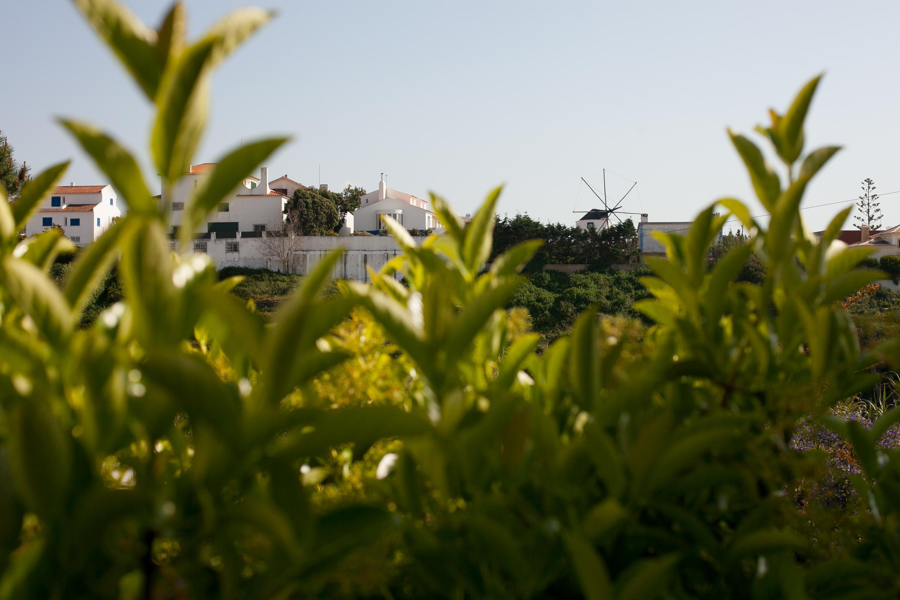 Chill Hill & Private - Peach Garden *