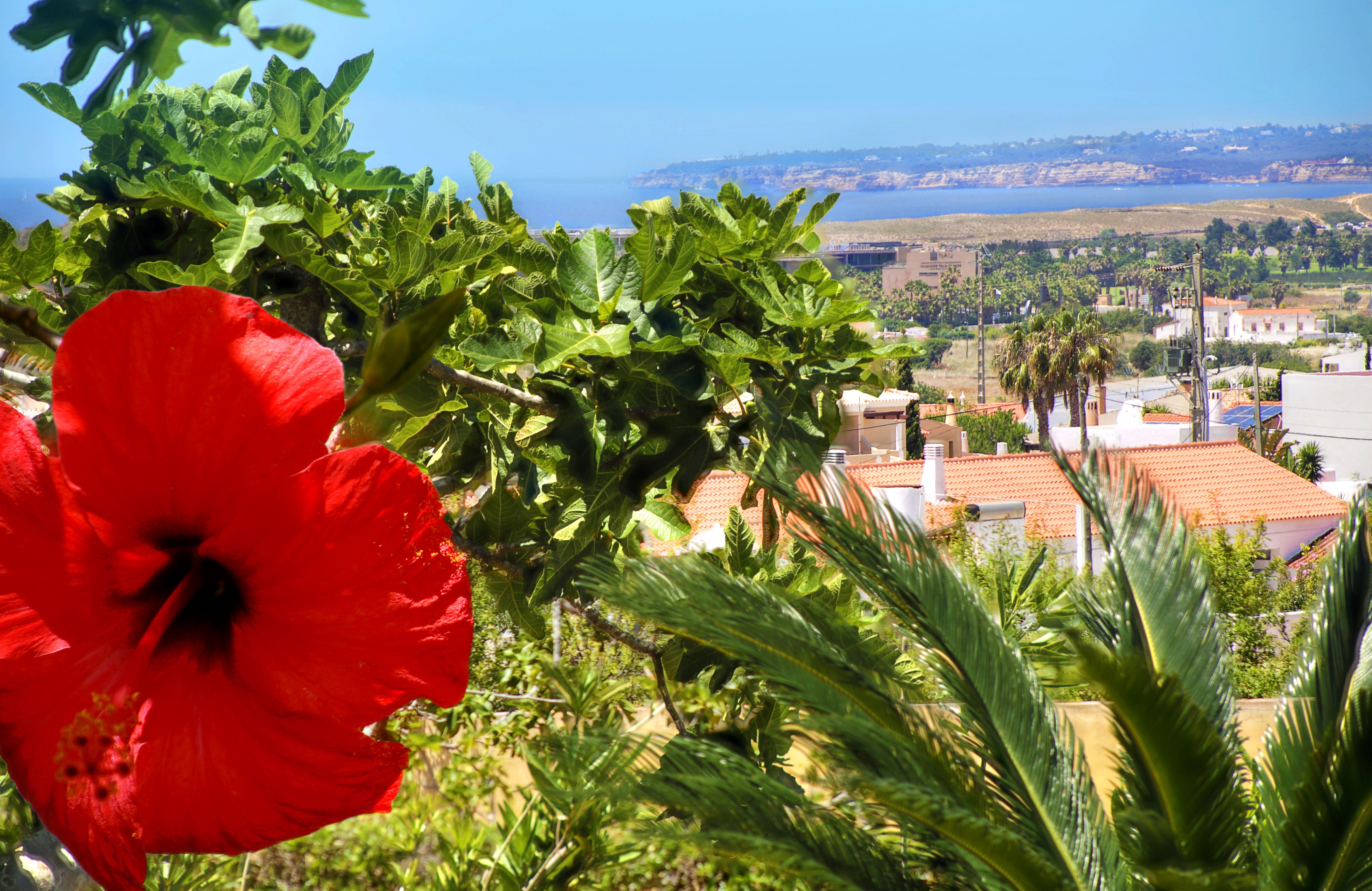 Parque Monte 3* Albufeira
