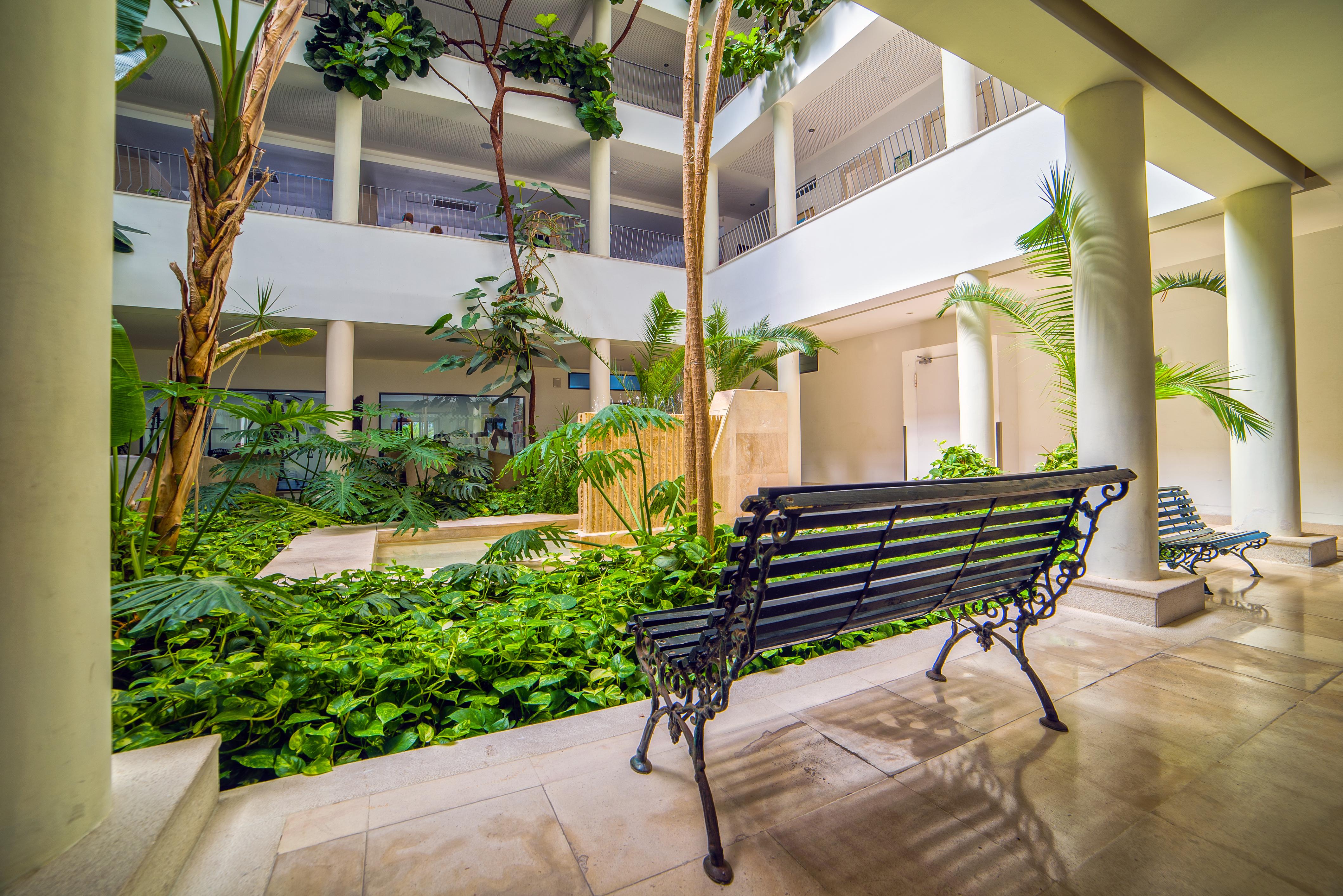 Petra Apartahotel 4*