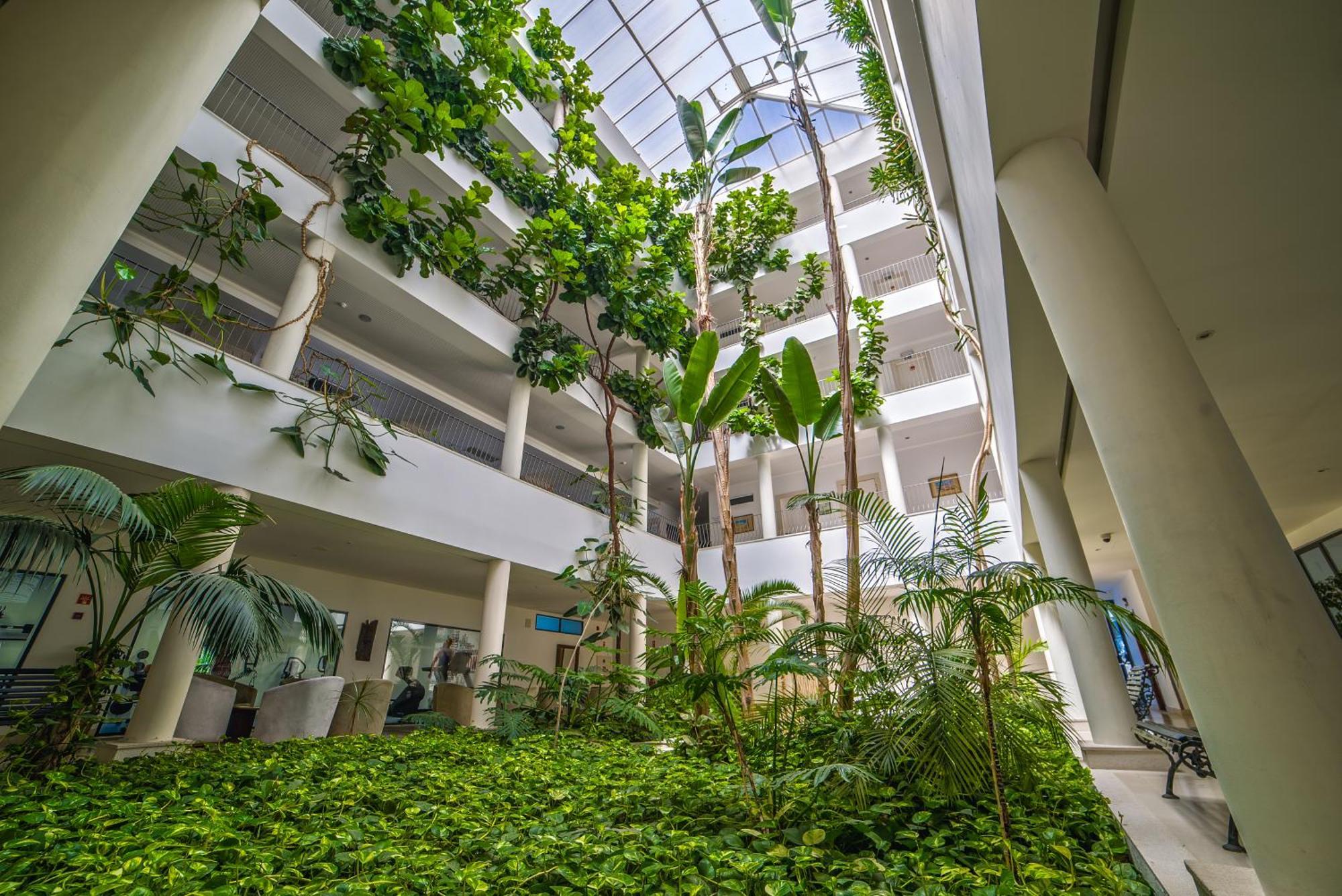 Apartahotel Petra Albufeira