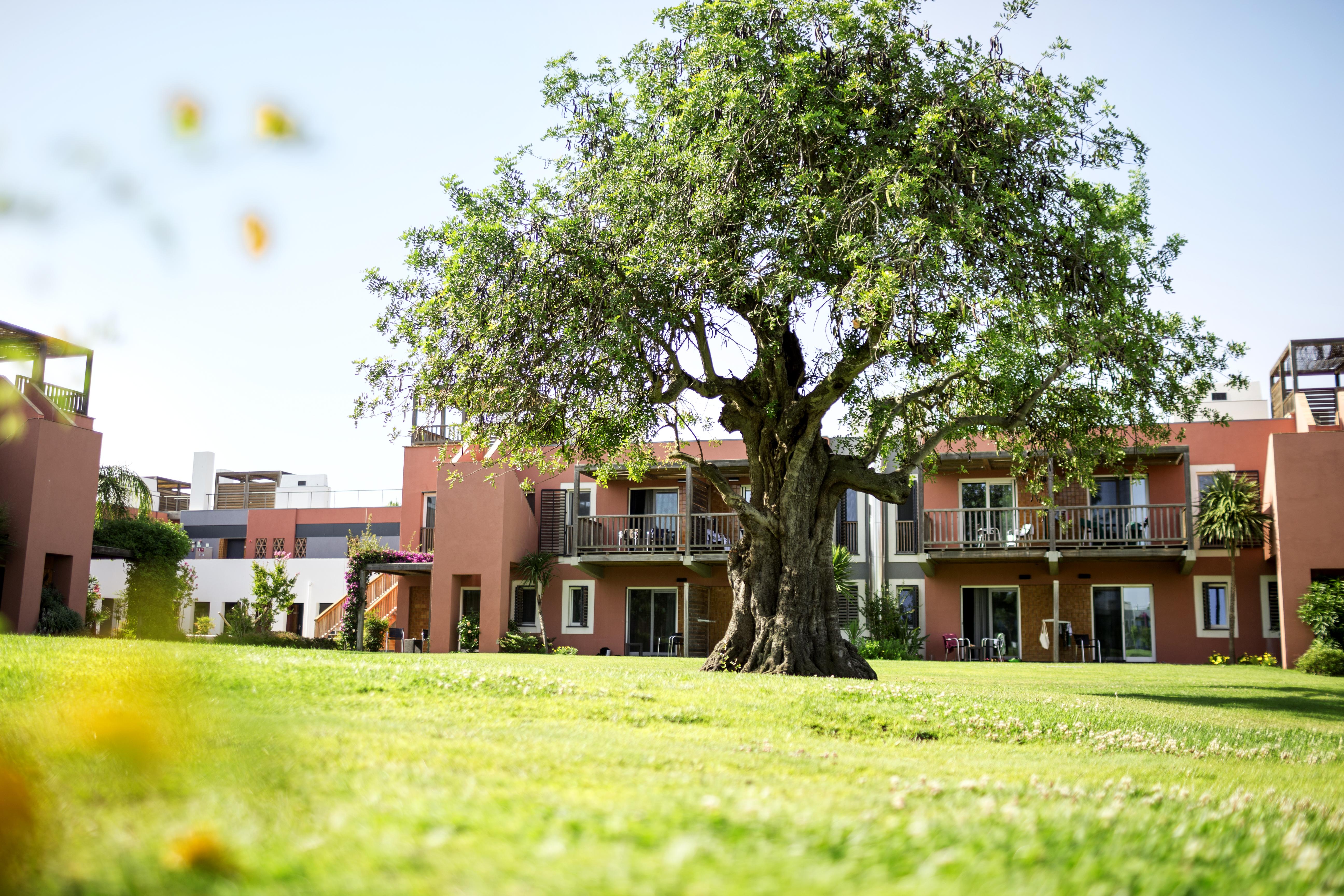 Robinson Quinta Da Ria