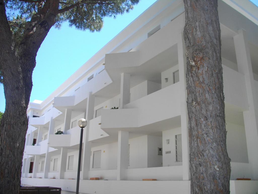 Apartment Falesia