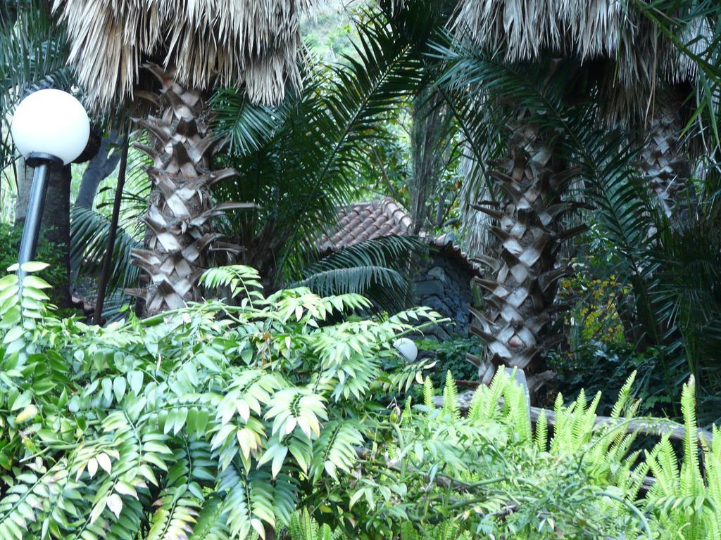 Farm stay Casas Da Terca *