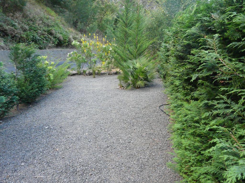 Farm stay Casas Da Terca Ribeira Brava
