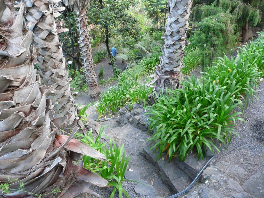 Casas Da Terca Farm stay *