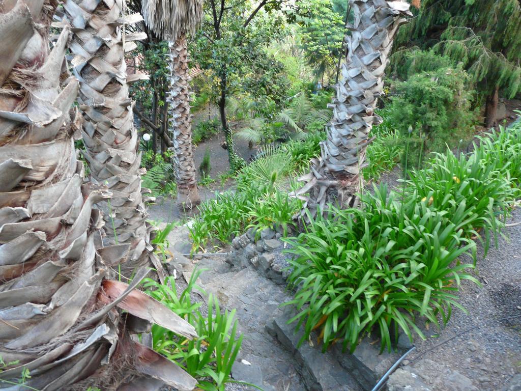 Farm stay Casas Da Terca Ribeira Brava