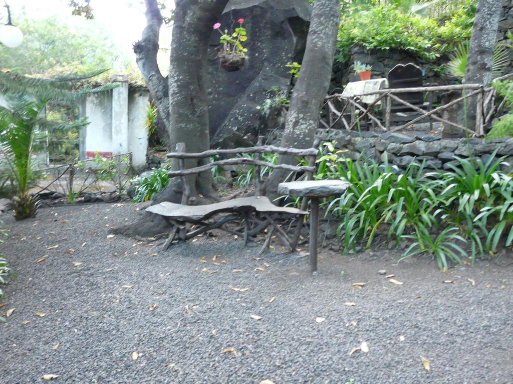Farm stay Casas Da Terca *