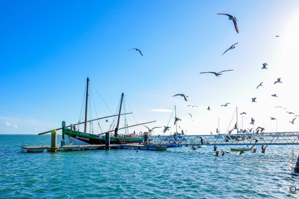 Albergue Stork *
