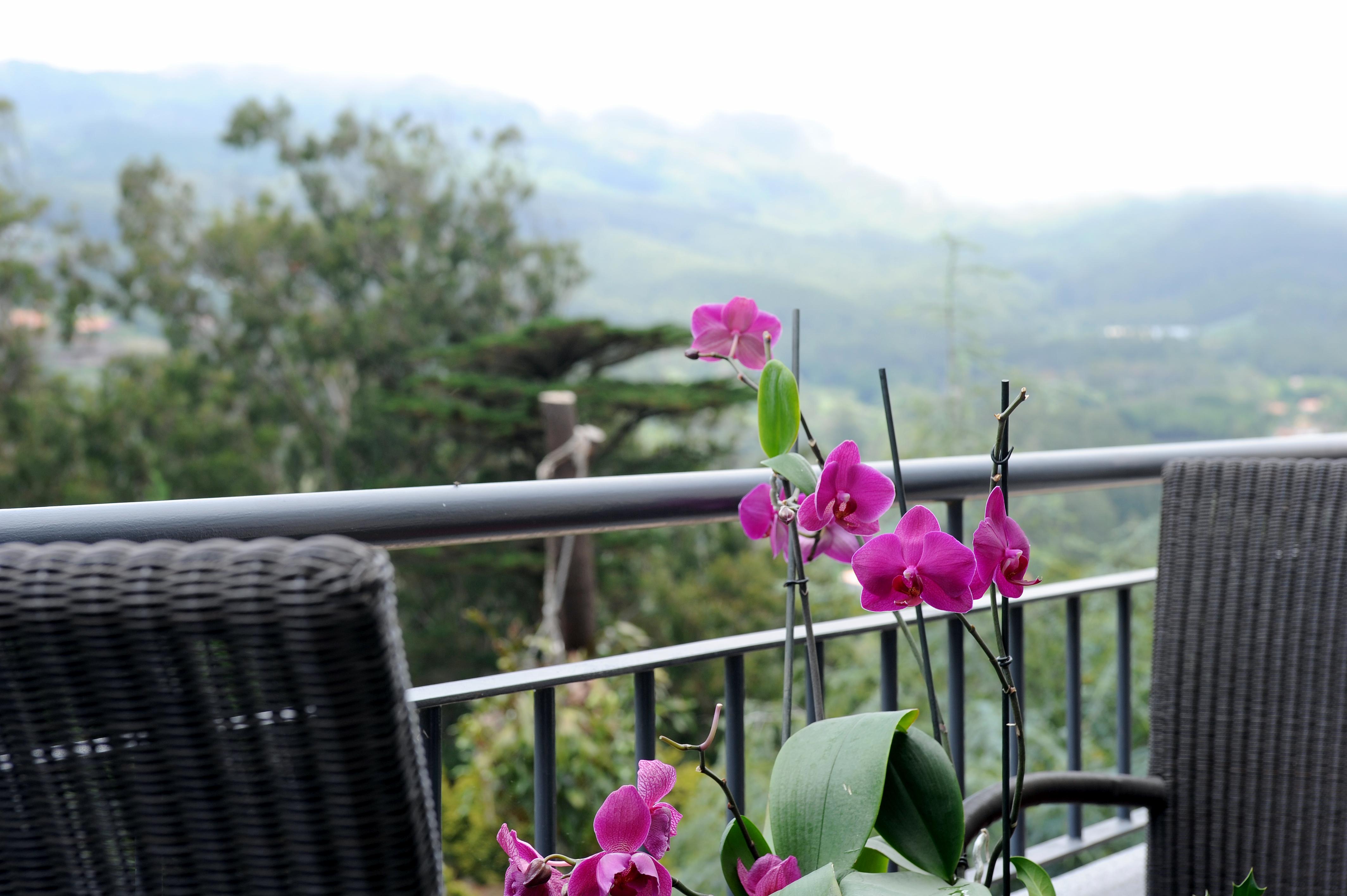 Hotel Quinta Da Cova Do Milho 3*
