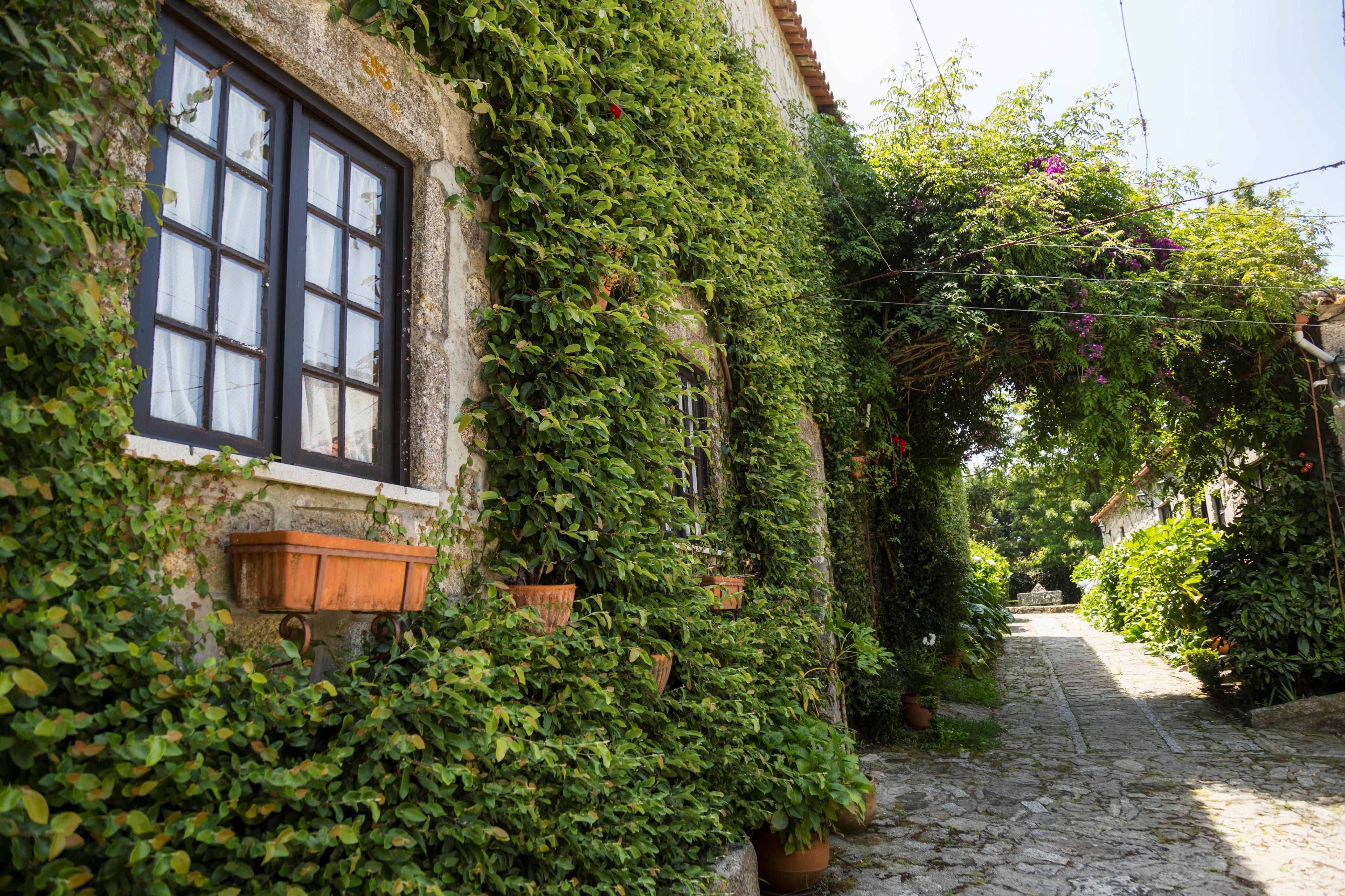 Casa Do Ameal Bed & Breakfast Viana do Castelo