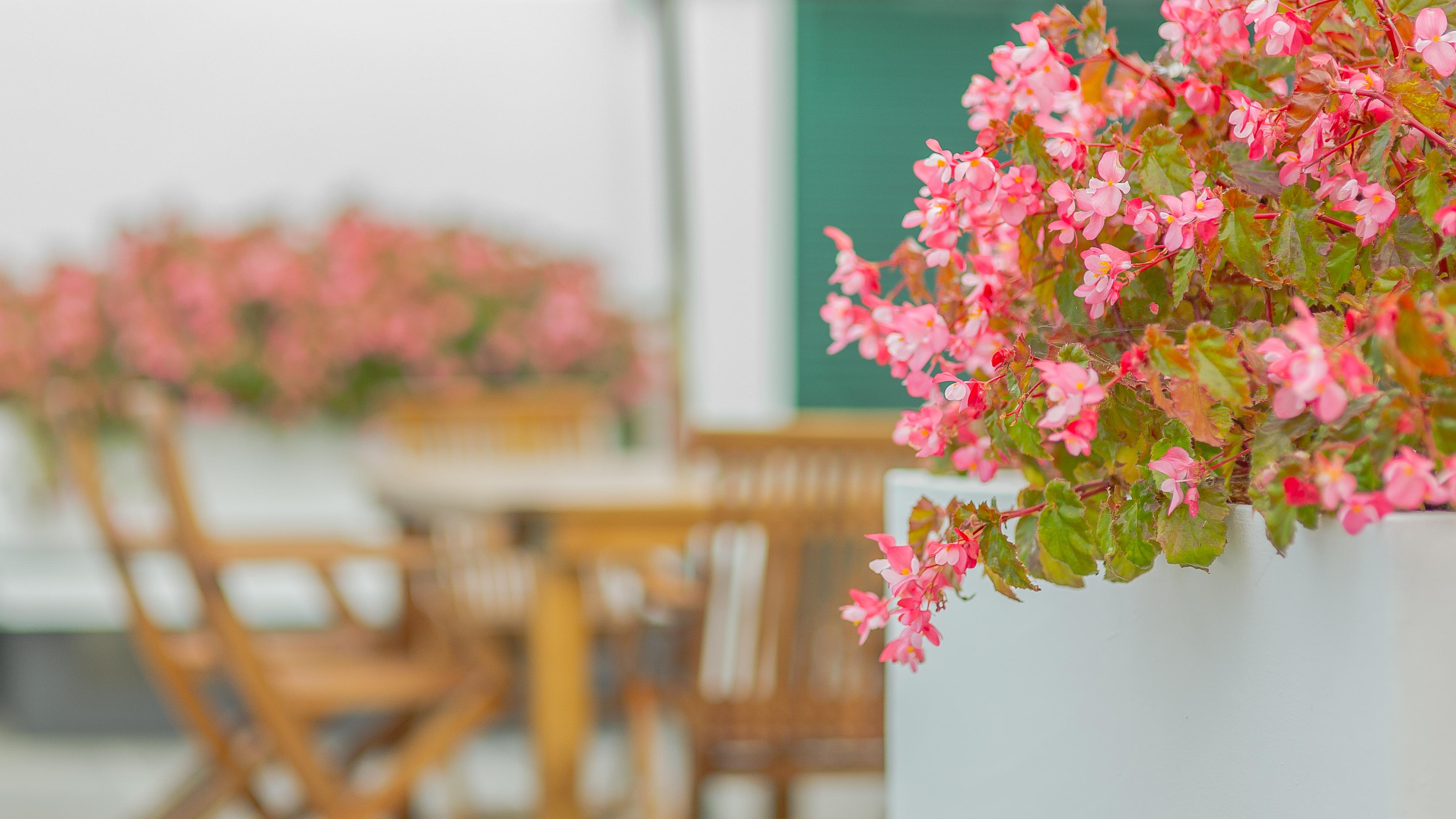 Comercial Boutique Guest House 2*