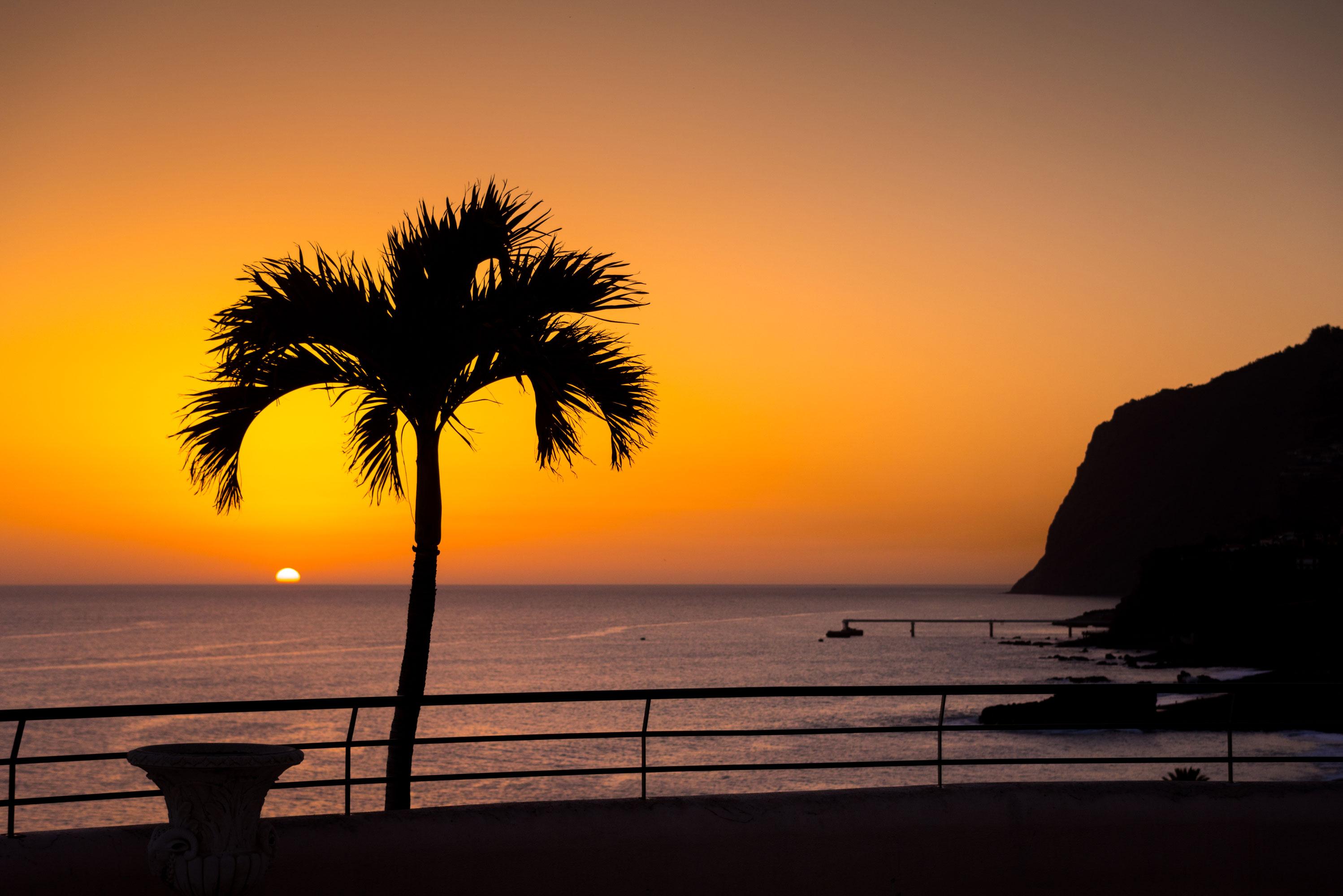 Pestana Royal Ocean & Hotel 5*