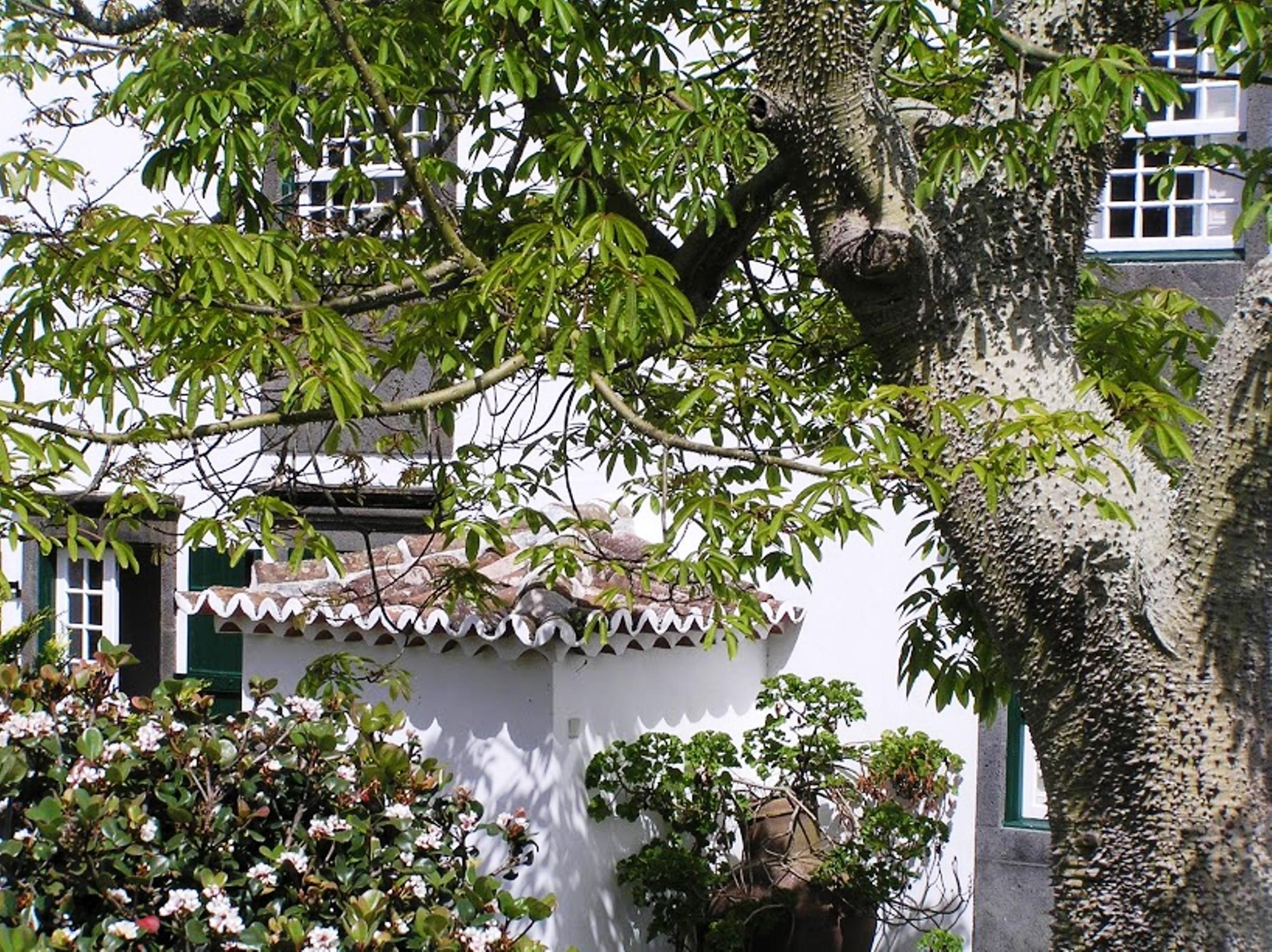Casa - Turismo De Habitacao