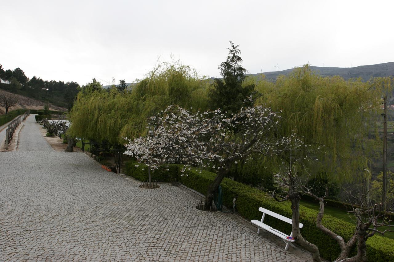 Hotel Quinta Da Timpeira 3*