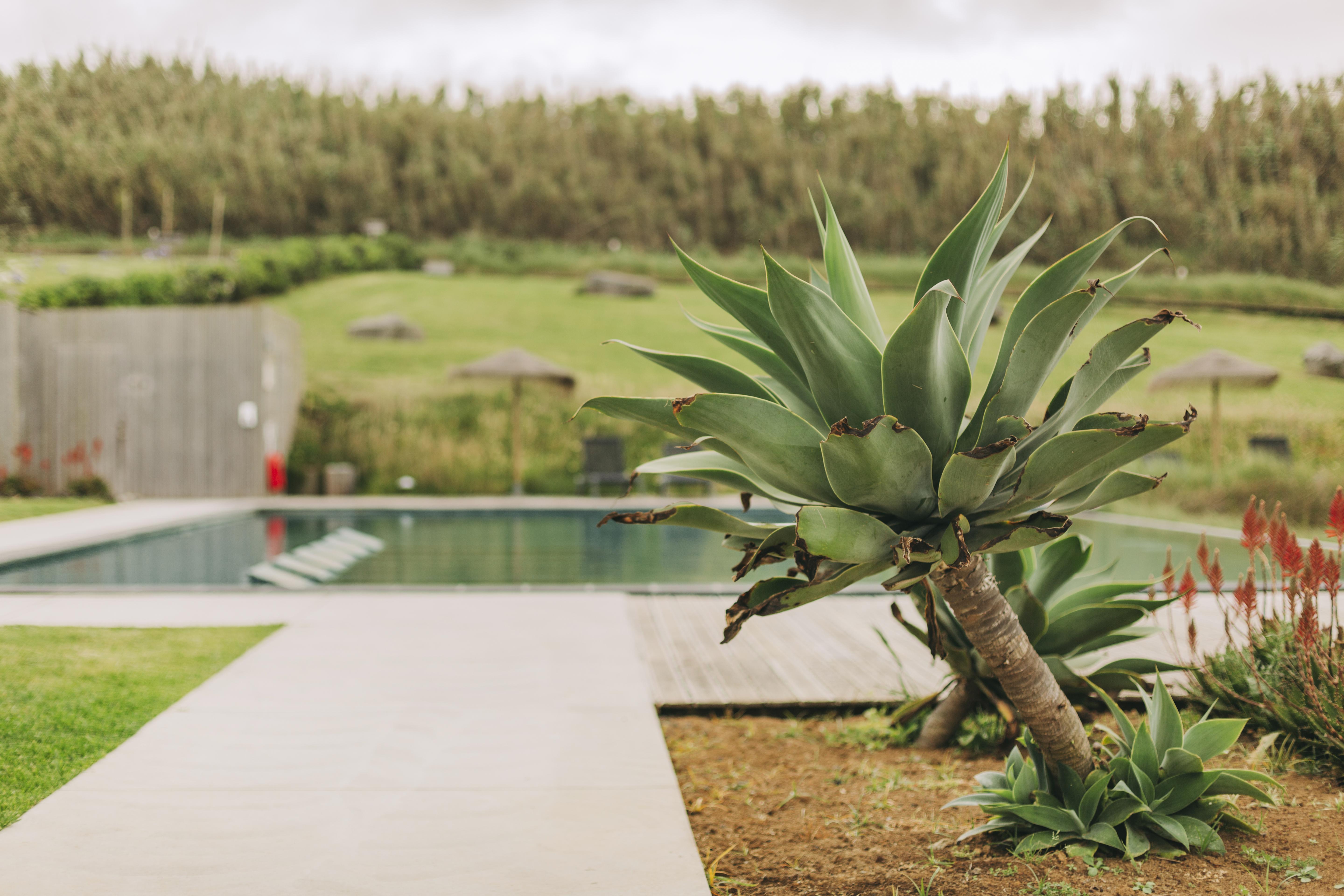 Santa Barbara Eco-beach Hotel Ribeira Grande