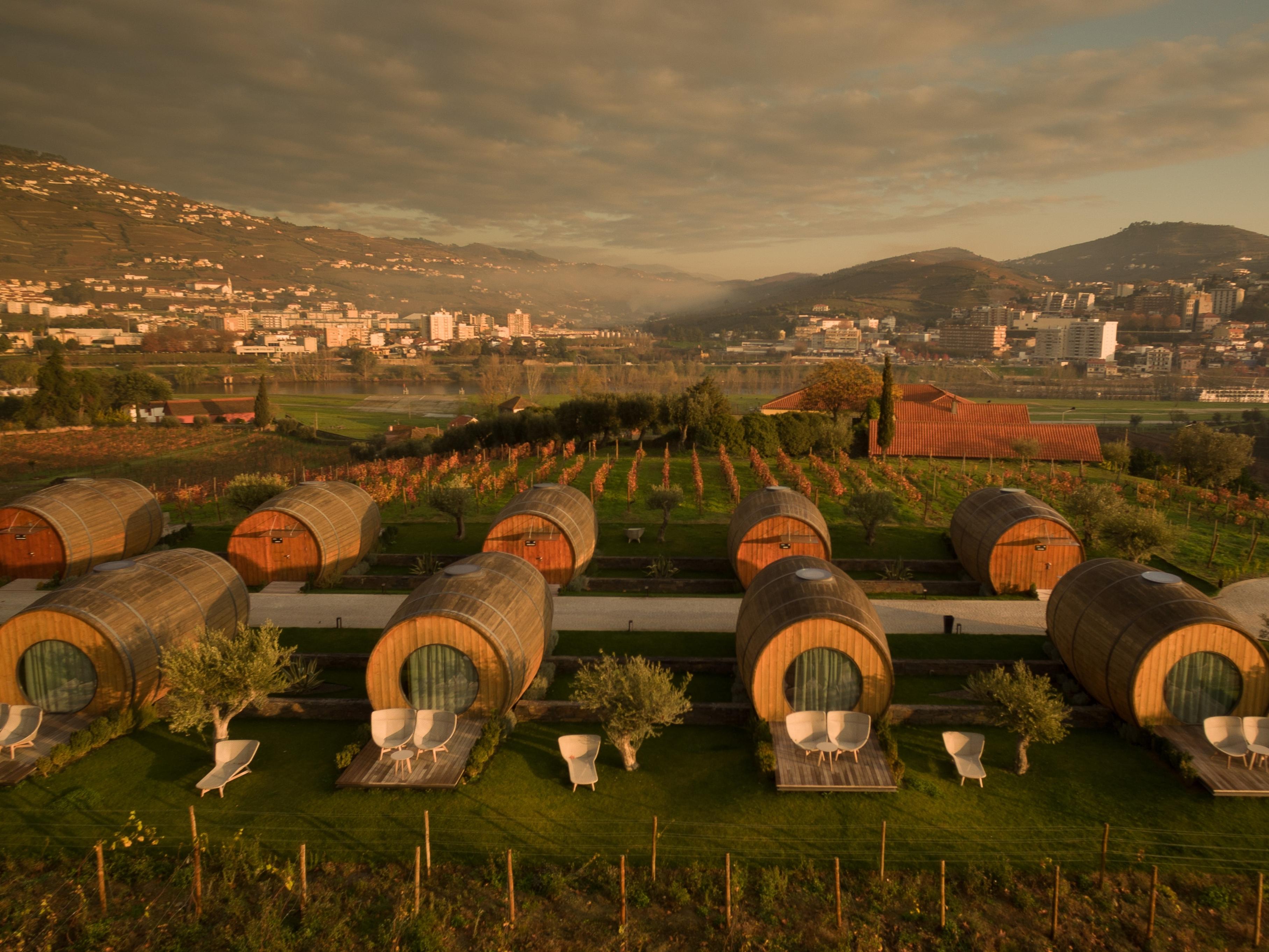 Pacheca The Wine House E - Quinta Da Pacheca Lamego