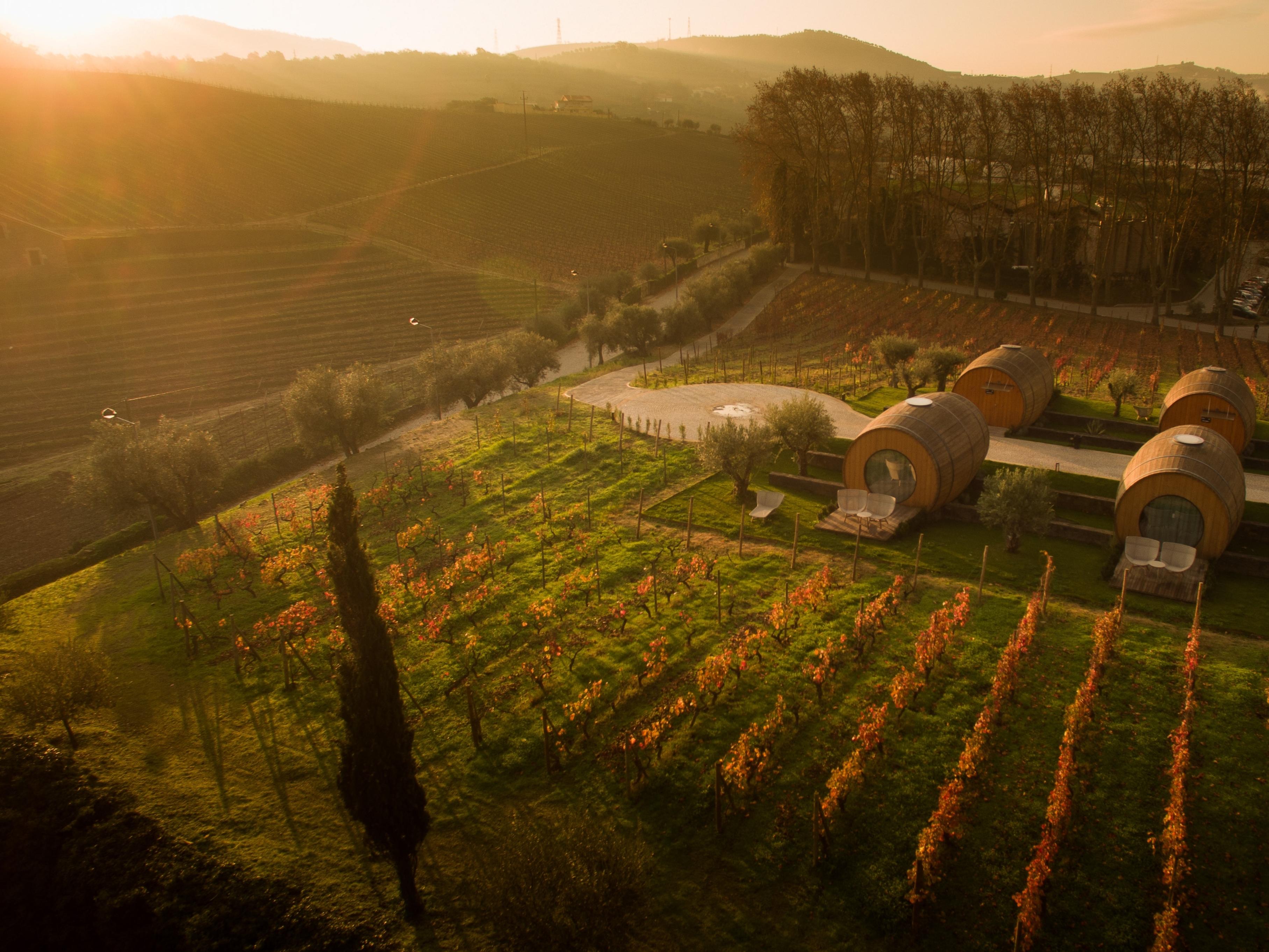 Pacheca The Wine House E - Quinta Da Pacheca 5*