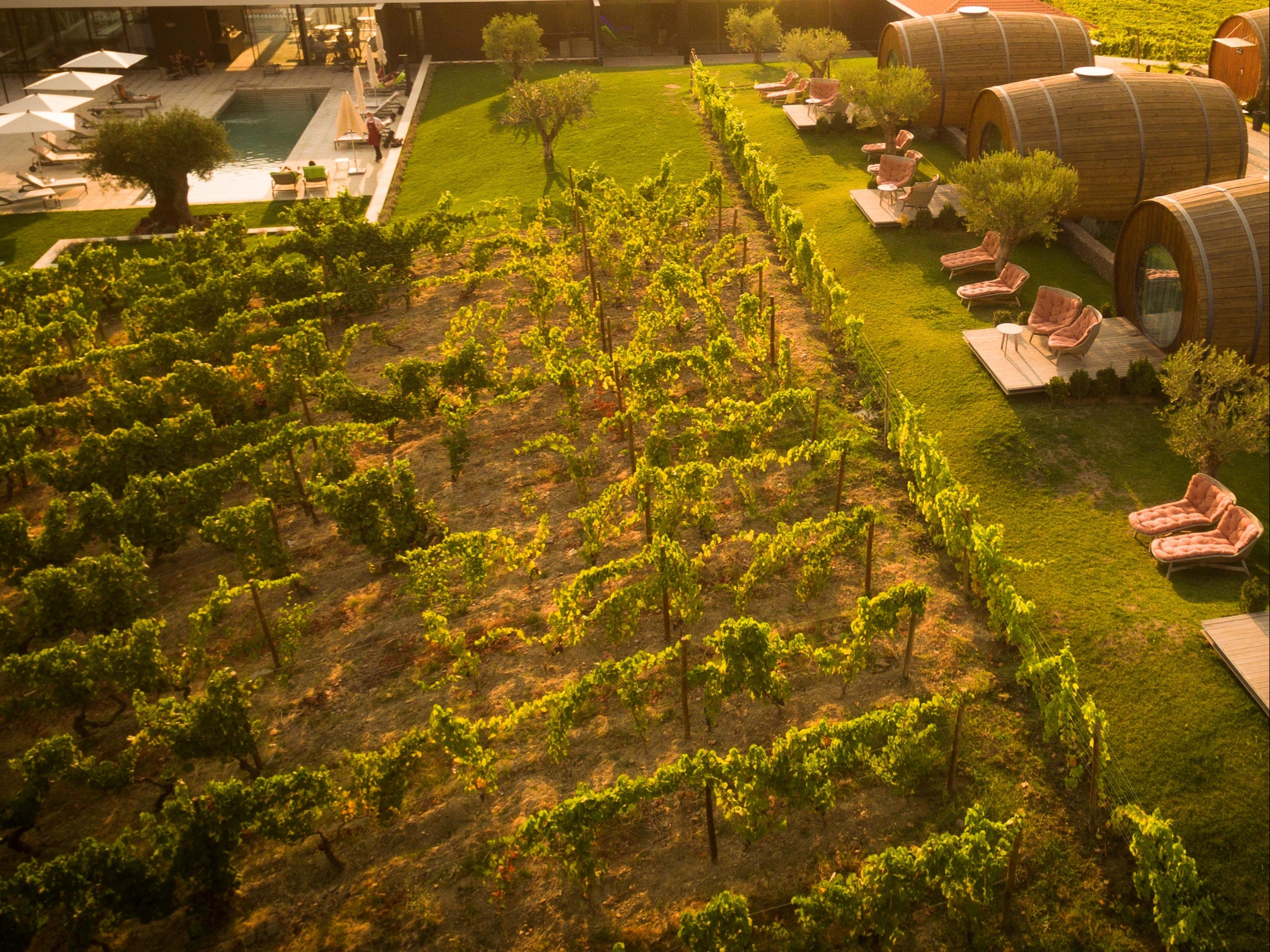 Hotel Pacheca The Wine House E - Quinta Da Pacheca Lamego