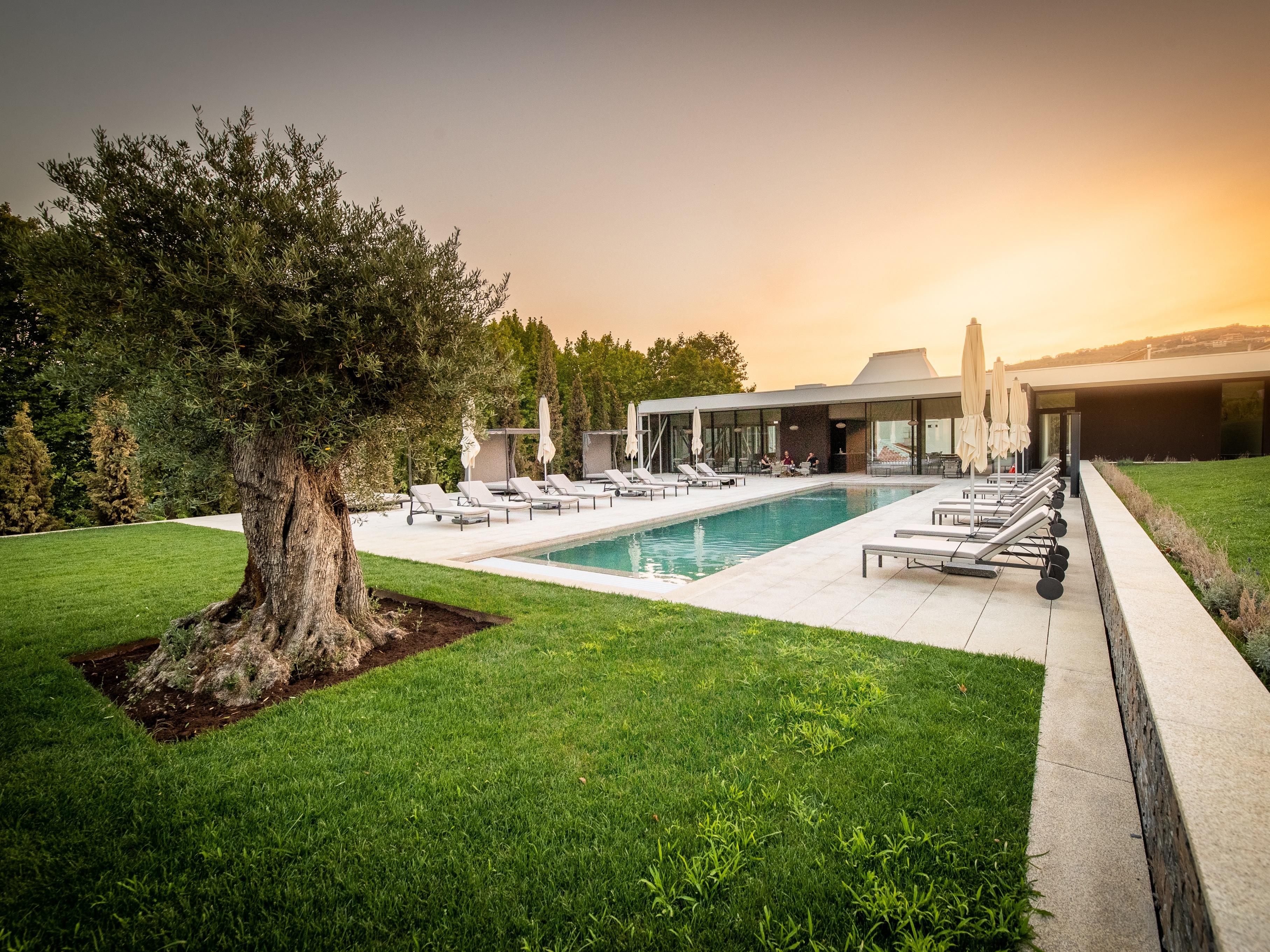 Hotel Pacheca The Wine House E - Quinta Da Pacheca 5*