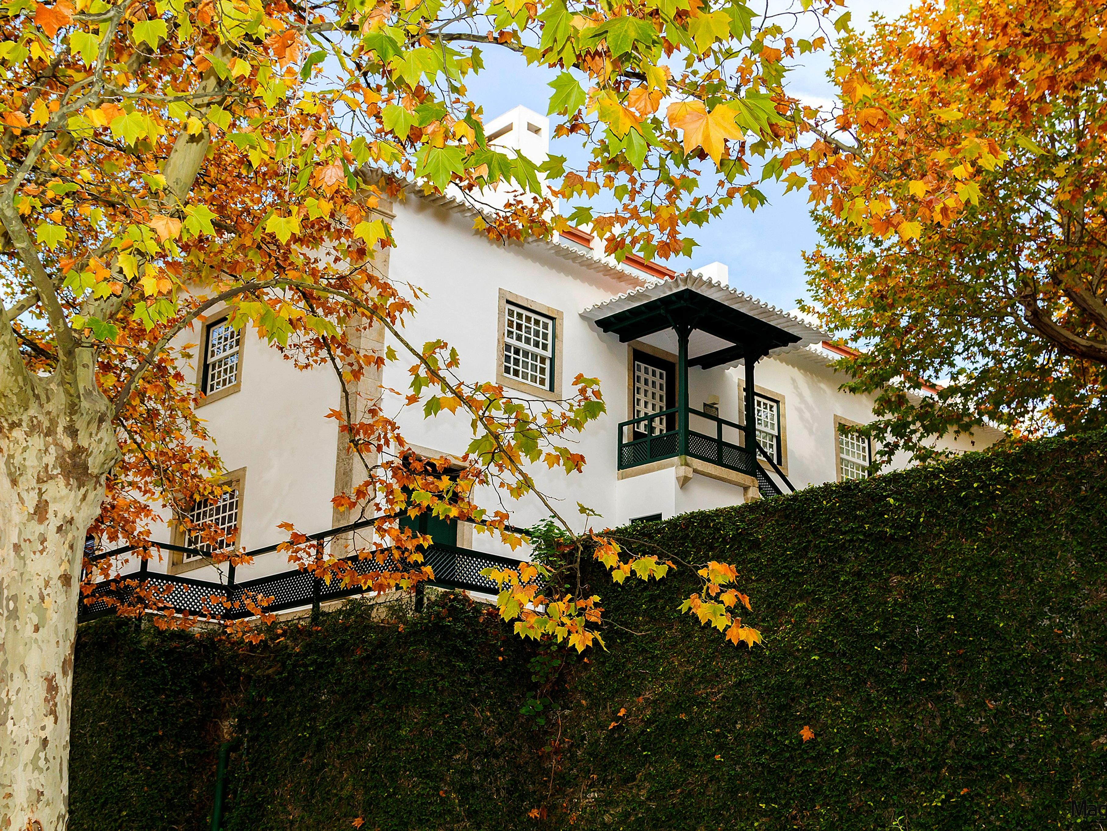 Pacheca The Wine House E - Quinta Da Pacheca 5*