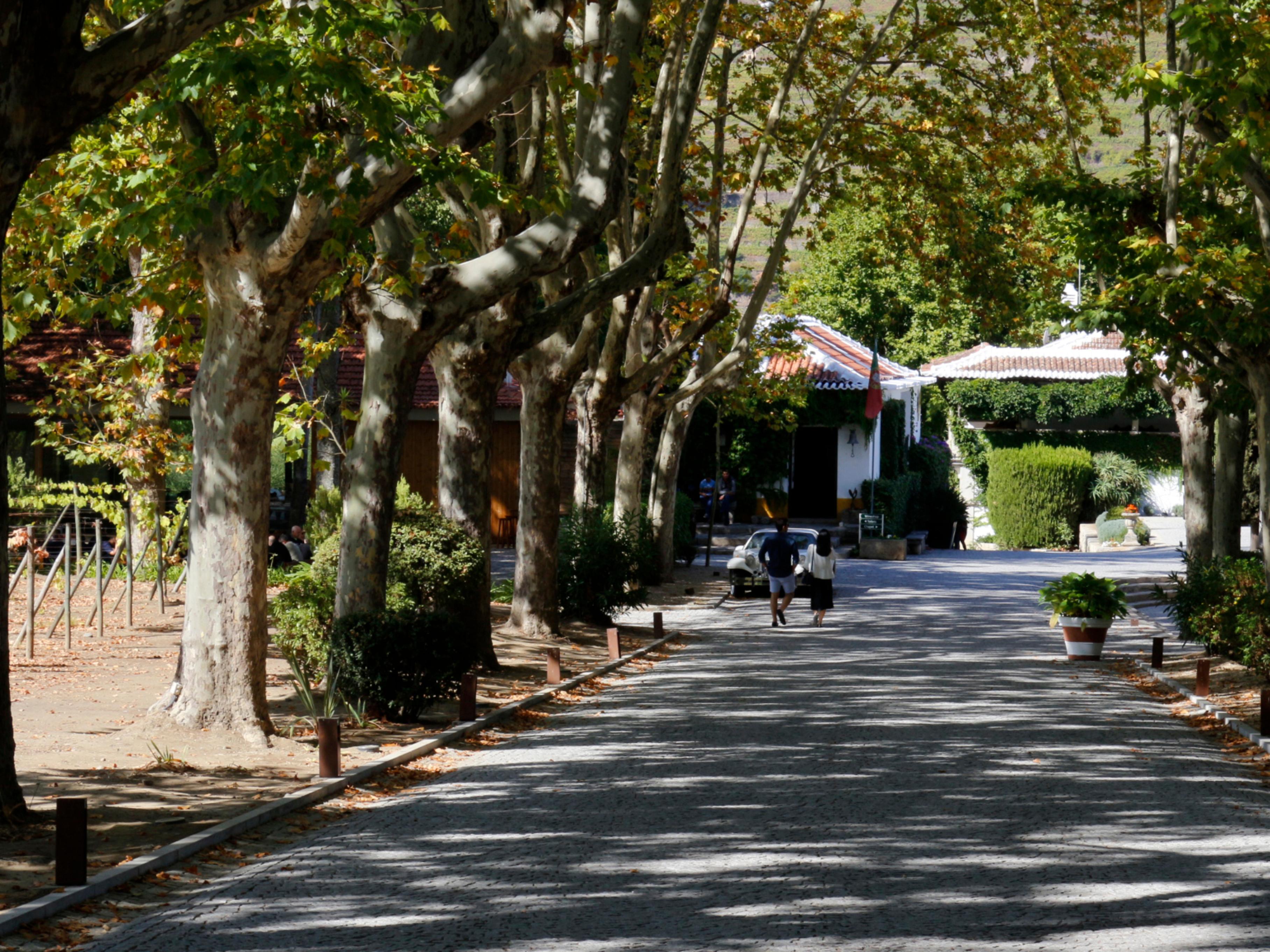Hotel Pacheca The Wine House E - Quinta Da Pacheca 5*
