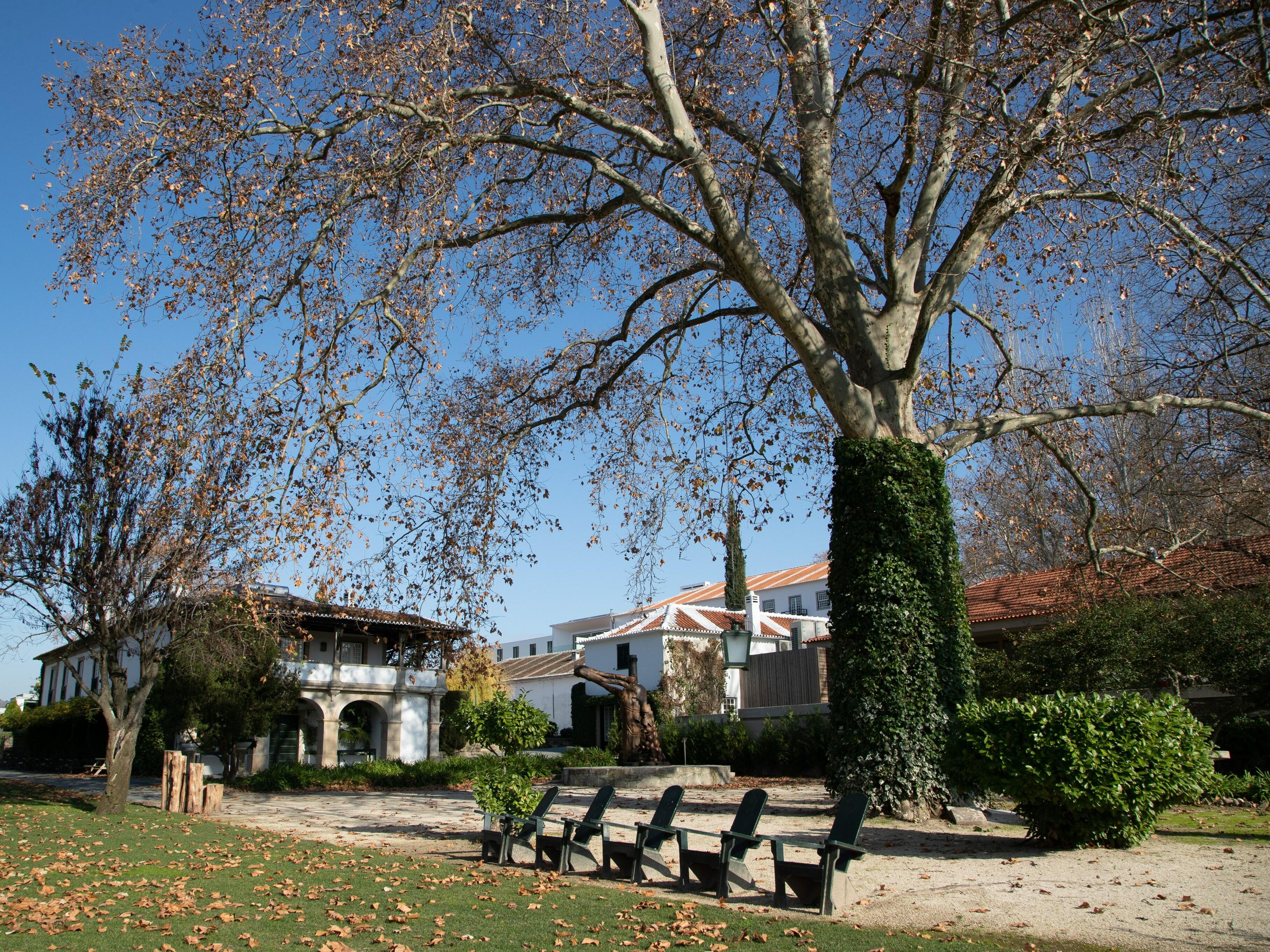 Hotel Pacheca The Wine House E - Quinta Da Pacheca 5*