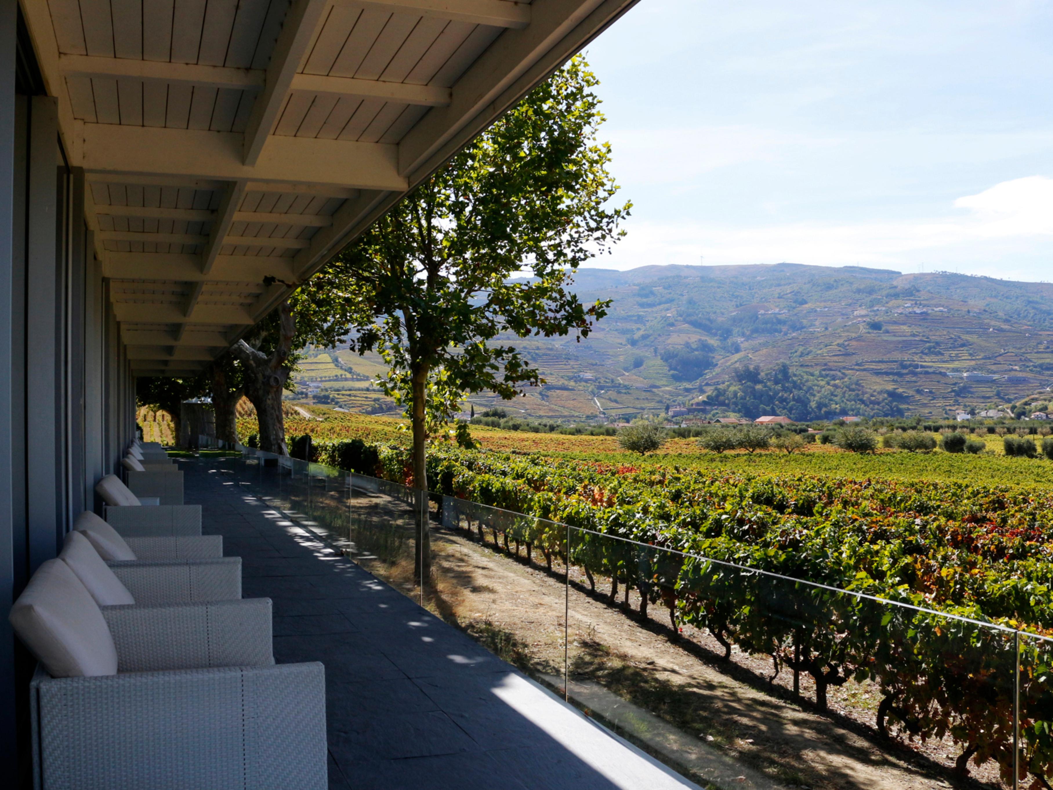Pacheca The Wine House E - Quinta Da Pacheca Hotel Lamego