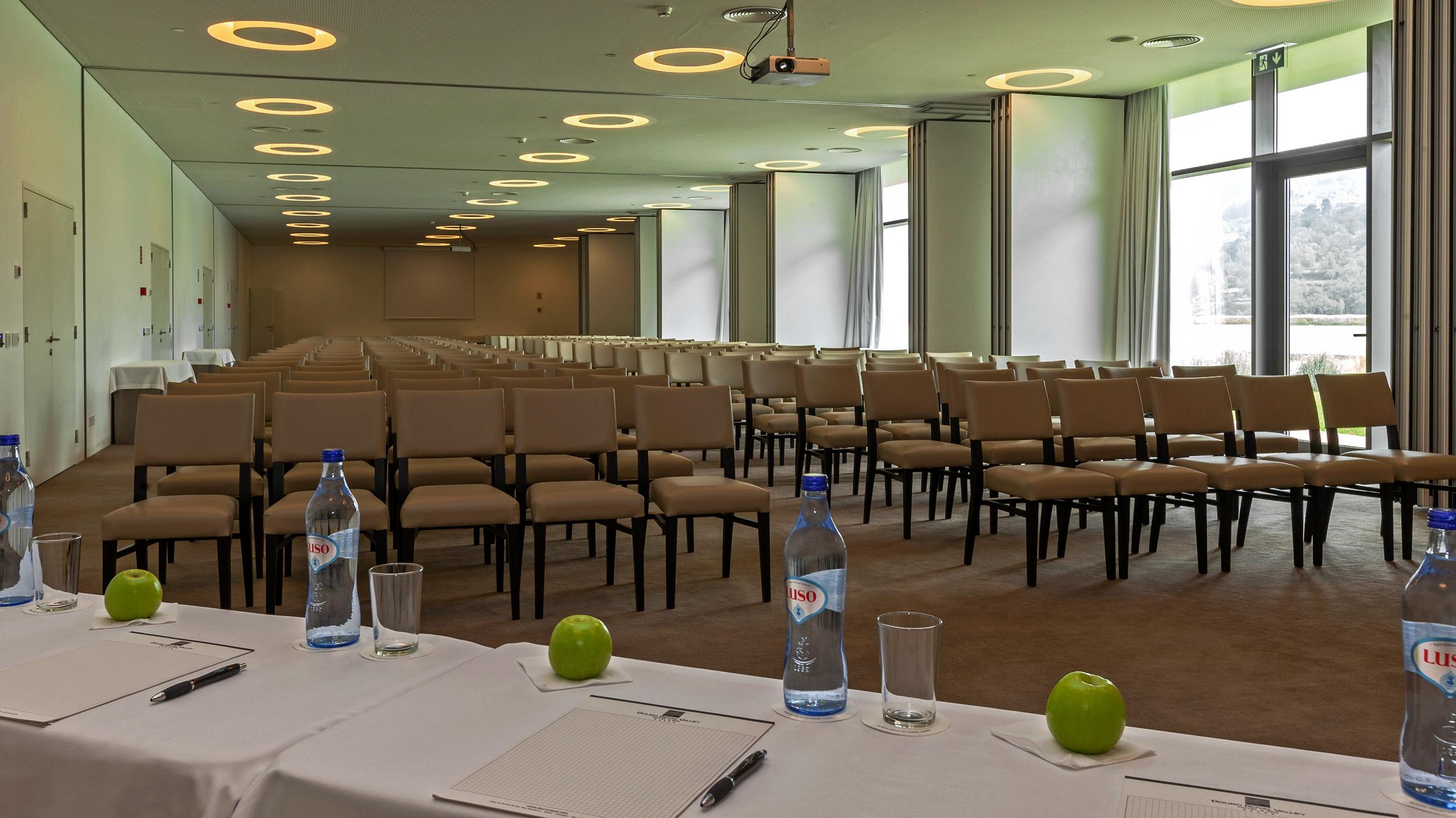 Hotel Douro Royal Valley &