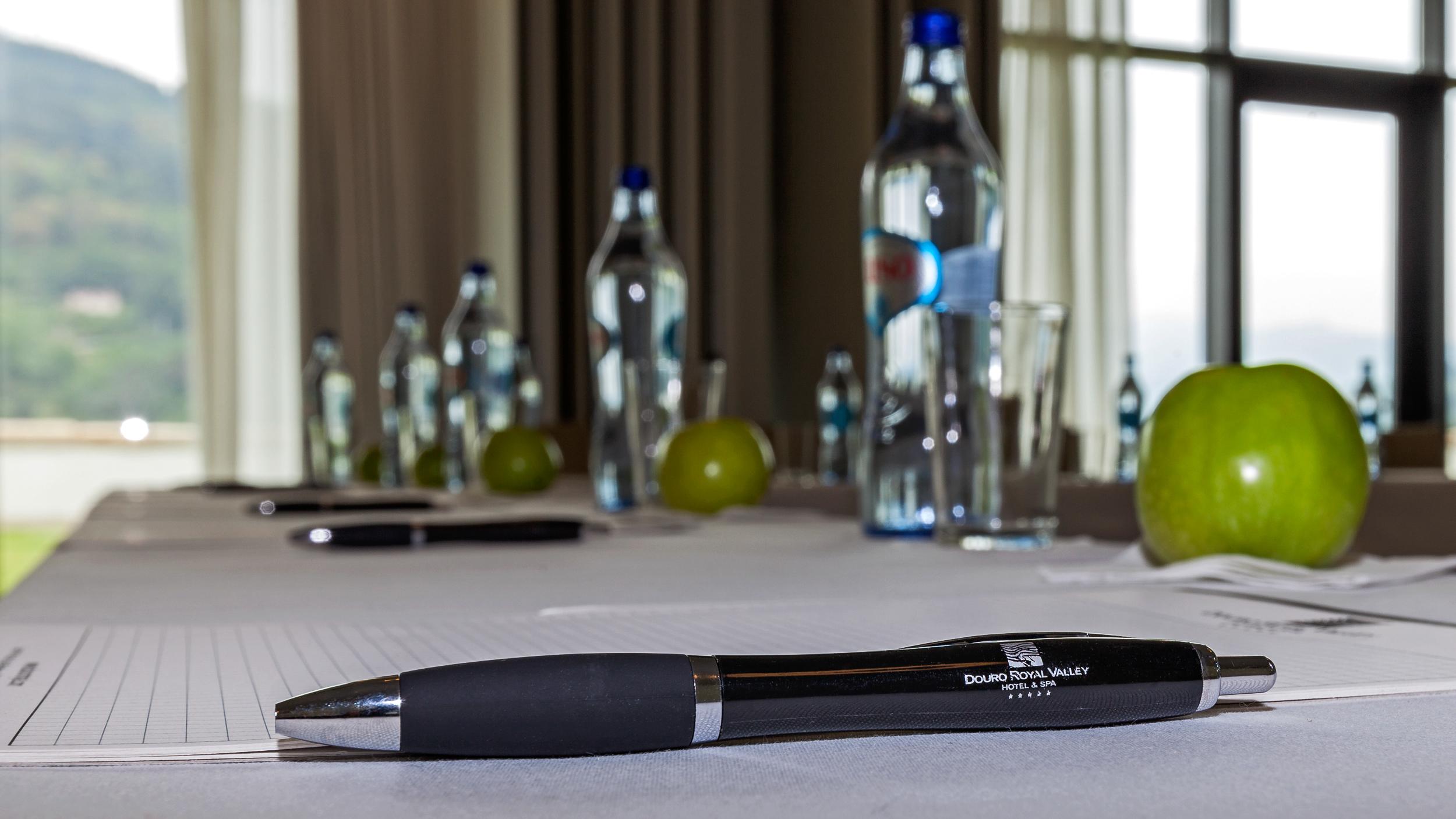 Hotel Douro Royal Valley & Ribadouro