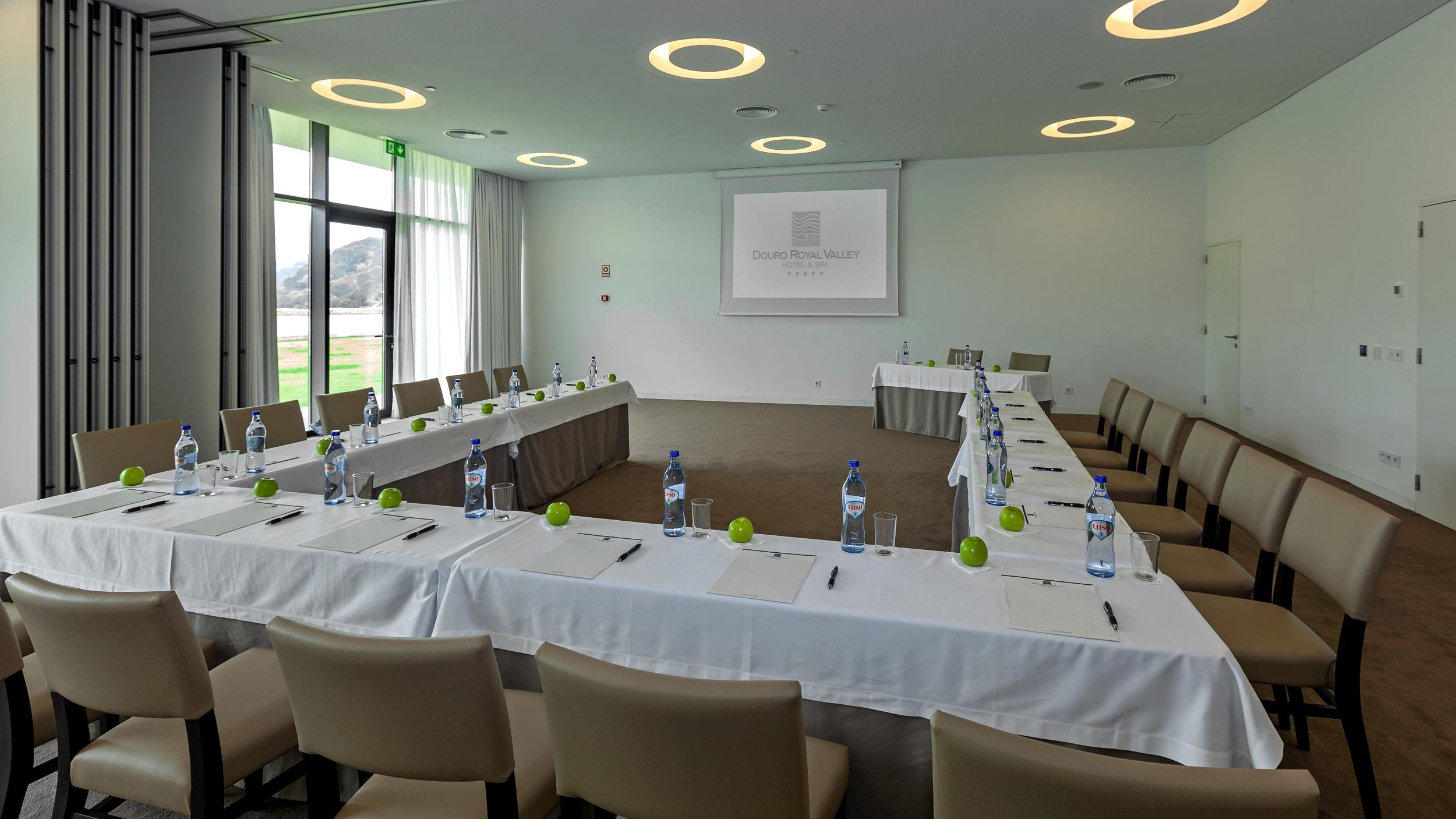 Hotel Douro Royal Valley &
