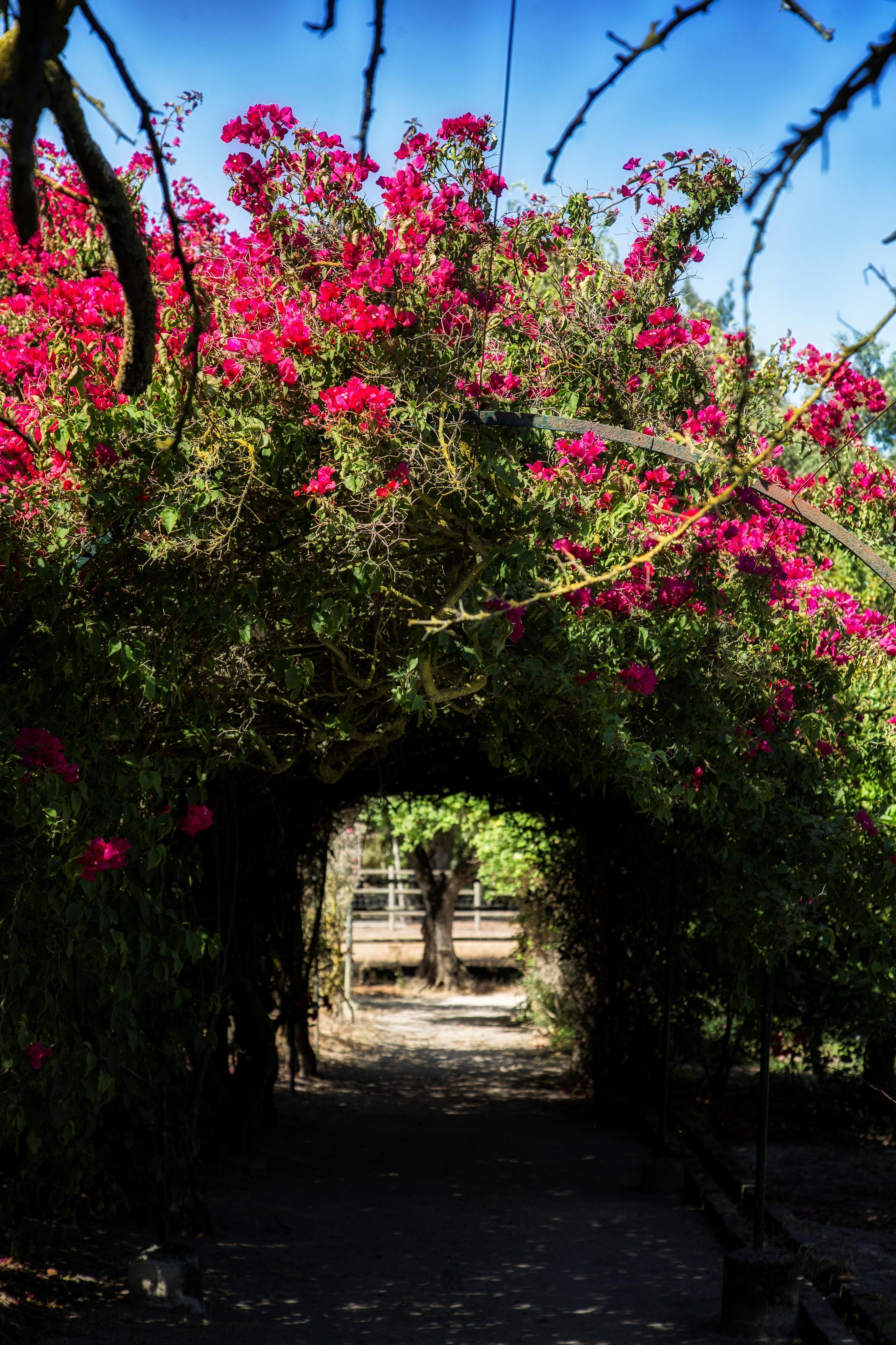 Quinta Da Fontes Alcochete