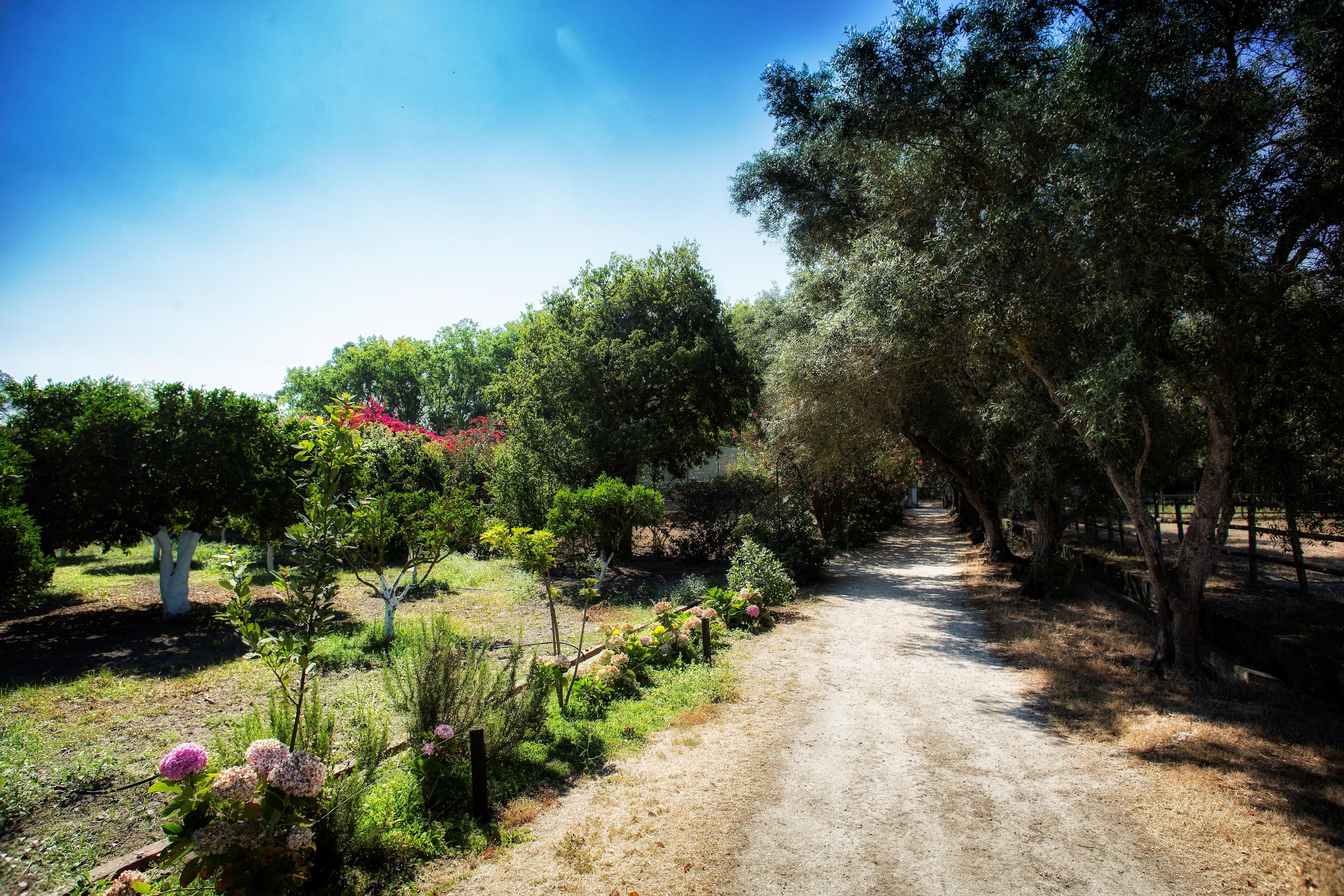 Quinta Da Fontes